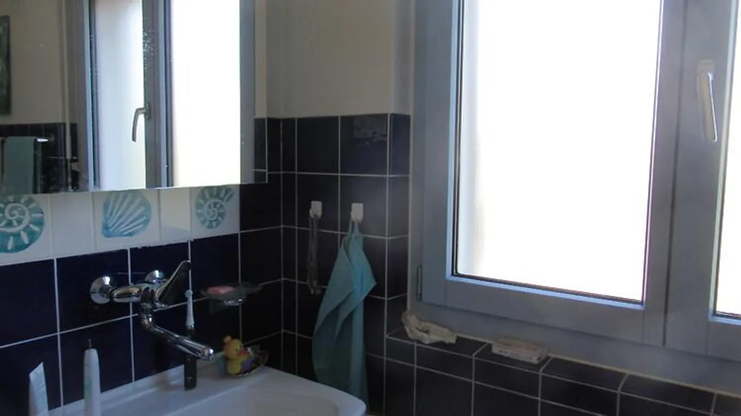 5 ROOM HOUSE IN WYNIGEN (BE), FURNISHED, TEMPORARY - Photo 12 of 14