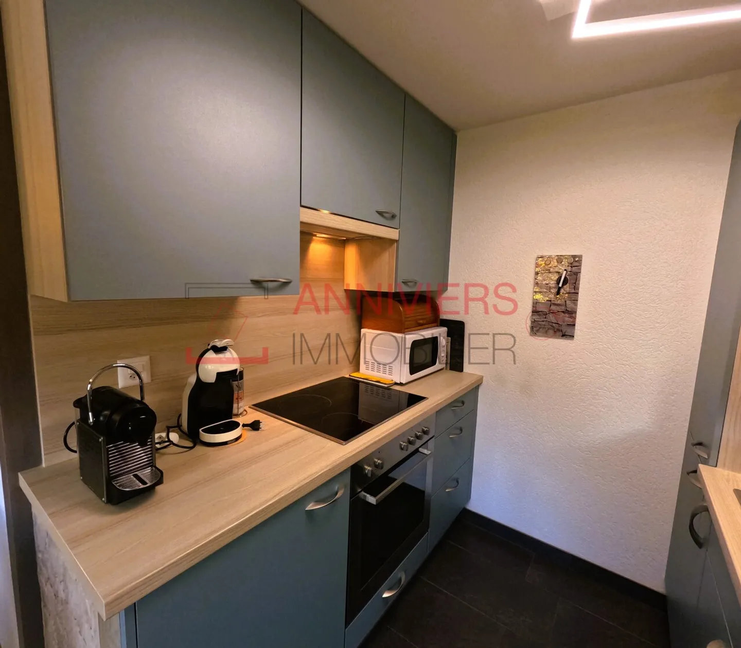 Magnificent 3.5-room apartment with furniture and large terrace - Photo 2 of 13