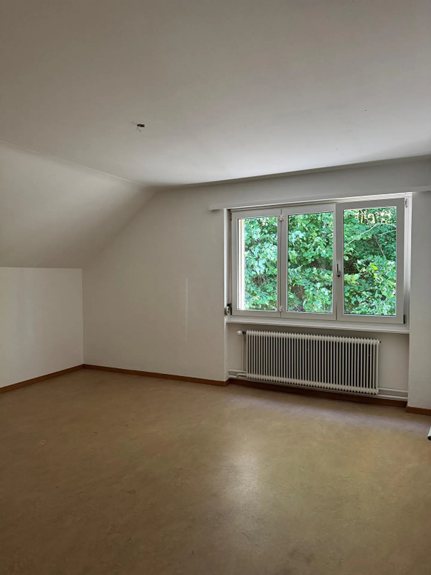 Charmante Wohnung in ruhiger Lage - Foto 8 von 9