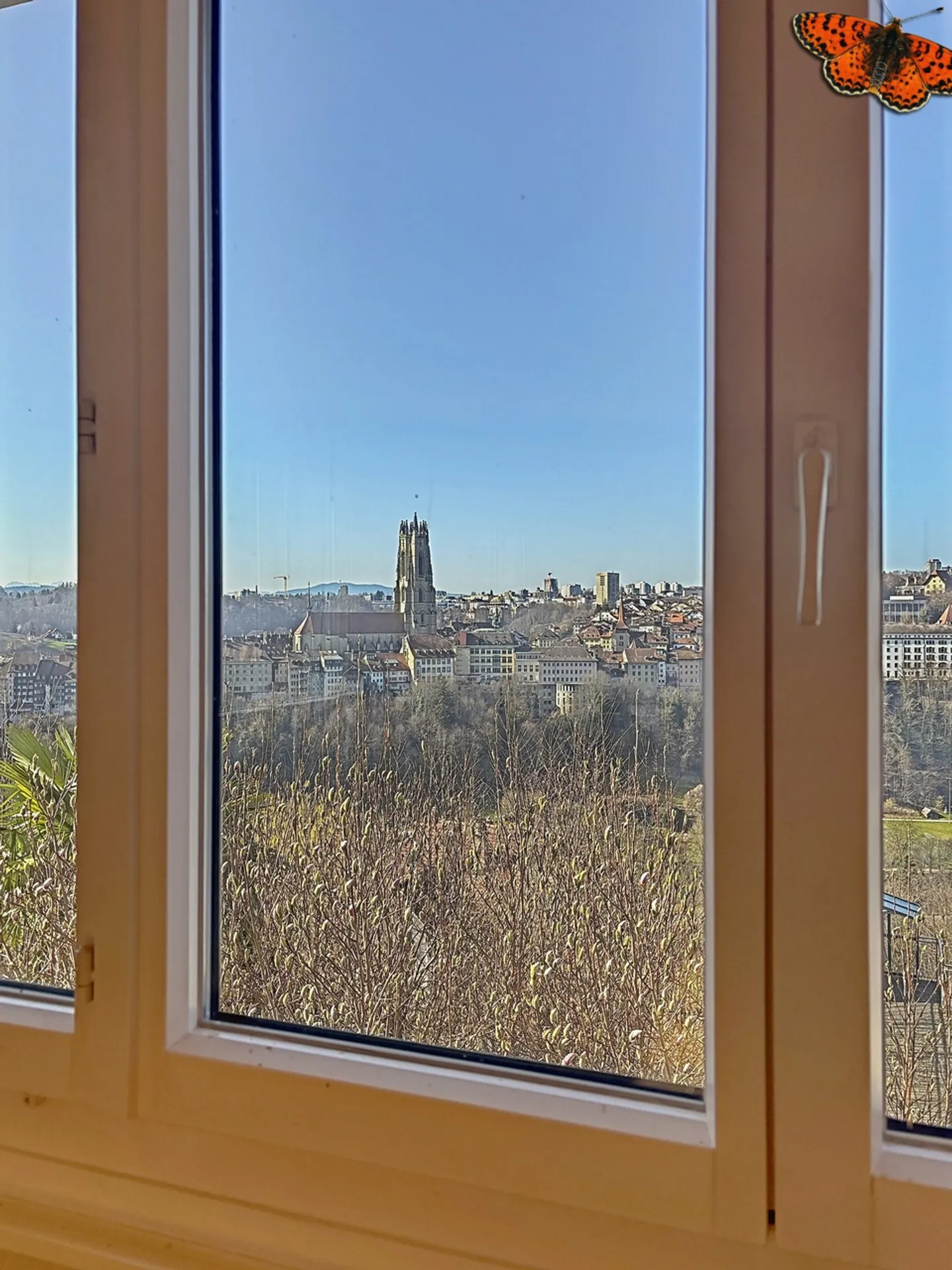 House with 3 apartments and panoramic view (sale by tender) - Photo 12 of 25