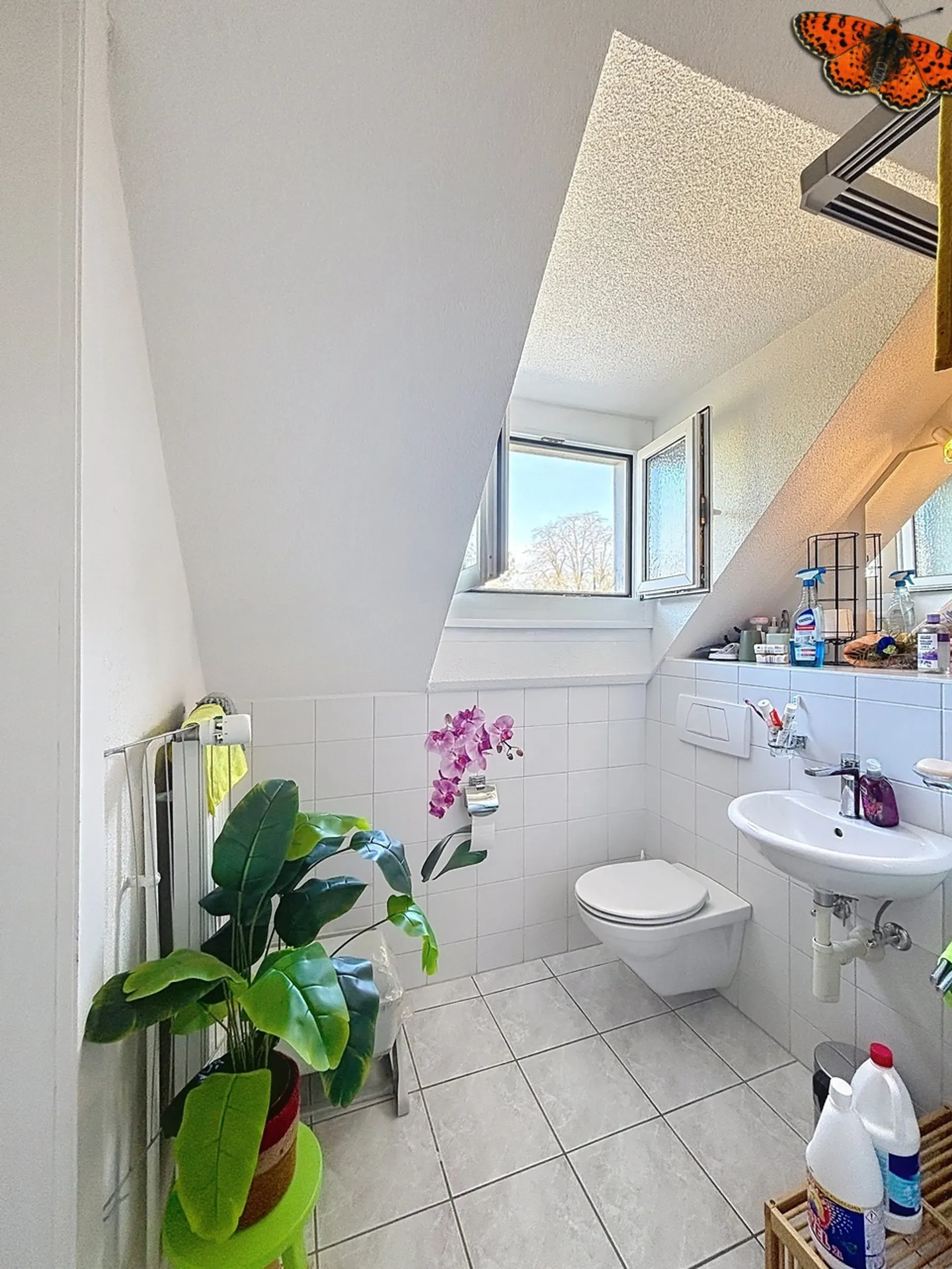 House with 3 apartments and panoramic view (sale by tender) - Photo 24 of 25