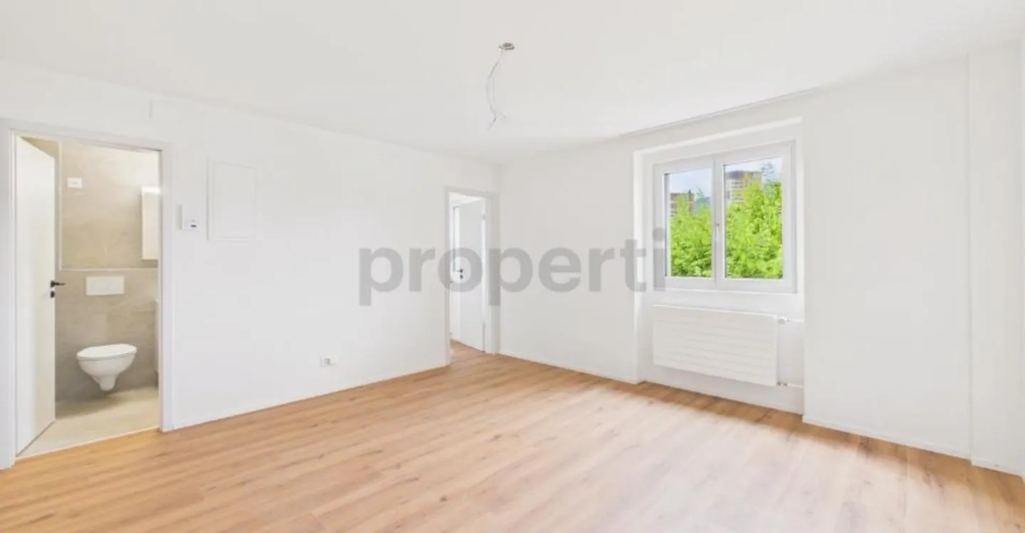 Erstbezug nach Renovation  Moderne 1.5-Zimmer-Wohnung mit Pilatusblick - Foto 4 di 8
