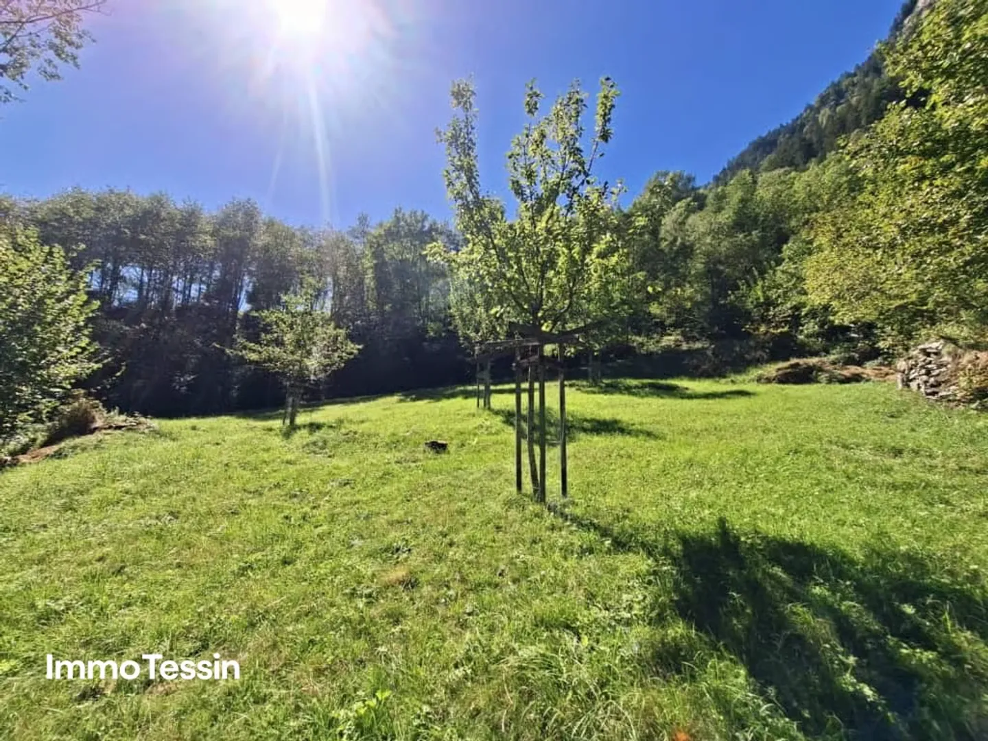 Un vero paradiso alpino: Rustico autentico e ristrutturato & un atelier indipendente e 3 appezzamenti pieni di libertà su 11000 m2 di terreno - Foto 6 di 13