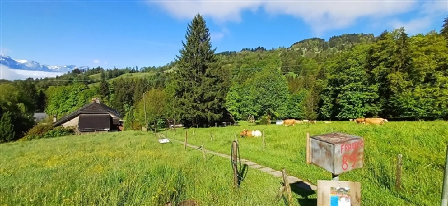 To be transformed into housing. Magnificent holiday camp for sale - Photo 3 of 13