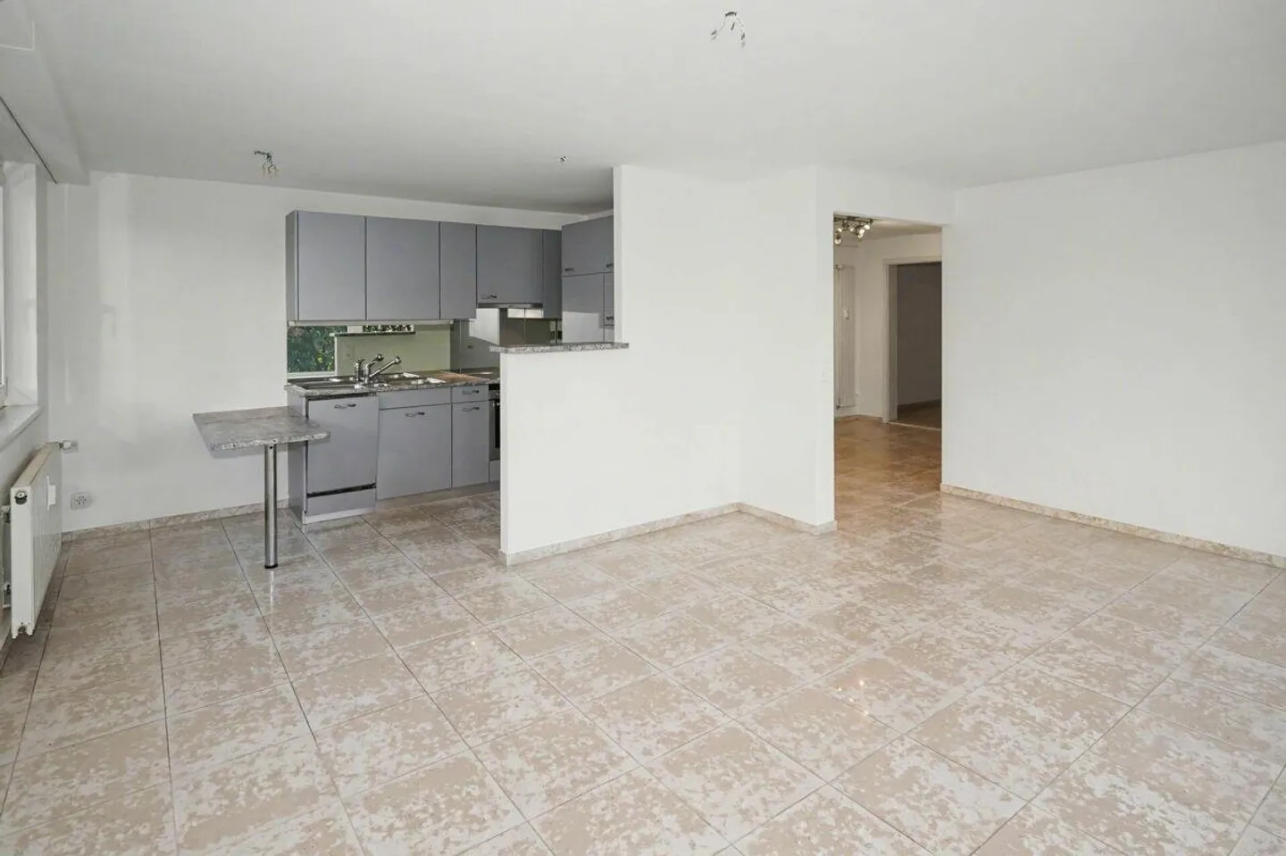 Appartement de terrasse 2,5 pièces à louer à Binningen - Photo 3 sur 10