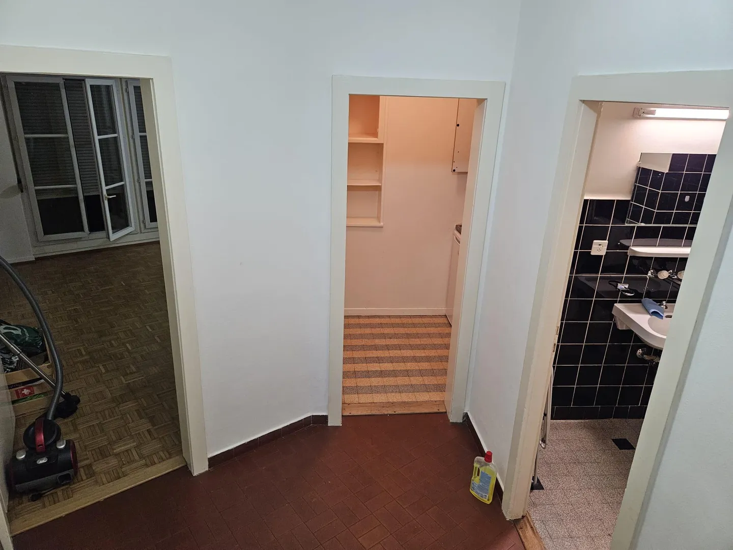 Studio vicino al vecchio Carouge - Foto 4 di 9