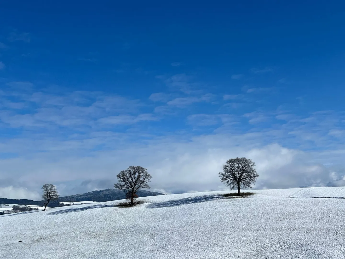 Ferme Charmante avec Potentiel - Photo 4 sur 14
