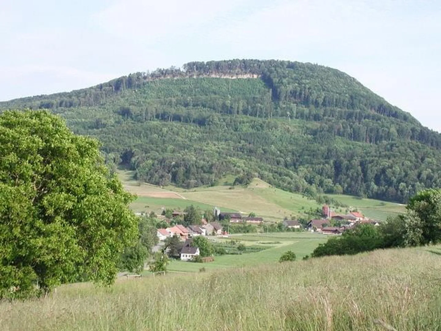 Terrain à bâtir entièrement viabilisé - Photo 7 sur 8