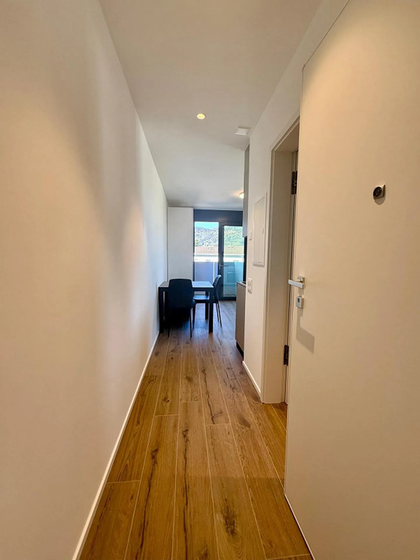 Breganzona 1.5 loc. Furnished Rent 950 Expenses 100 | - Photo 3 of 5