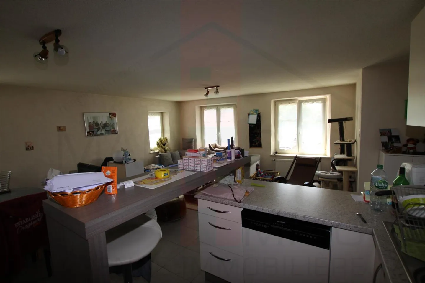 Mixed-use building for sale - Photo 10 of 13