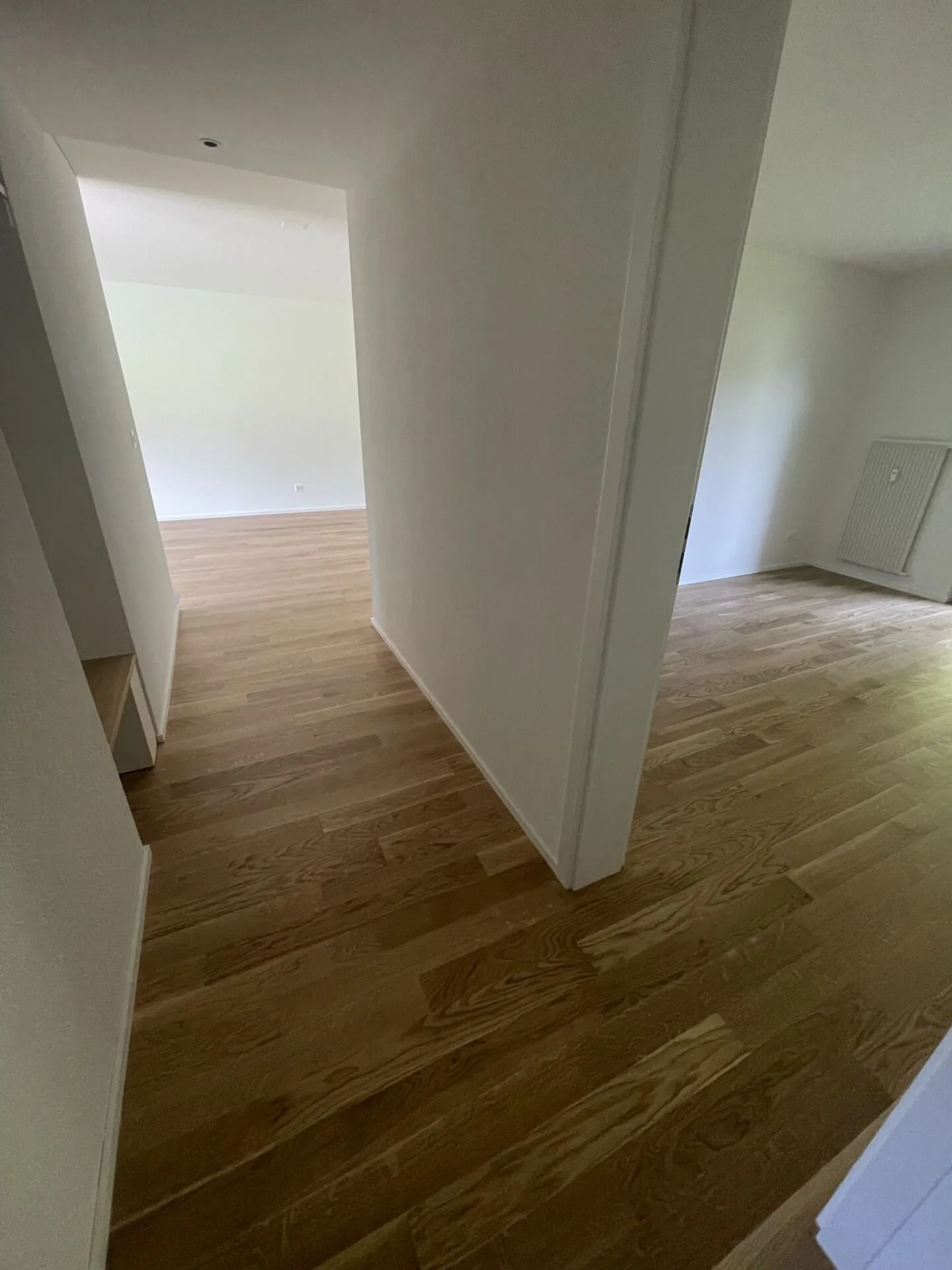 Bell'appartamento con una meravigliosa vista sul verde - Foto 4 di 9