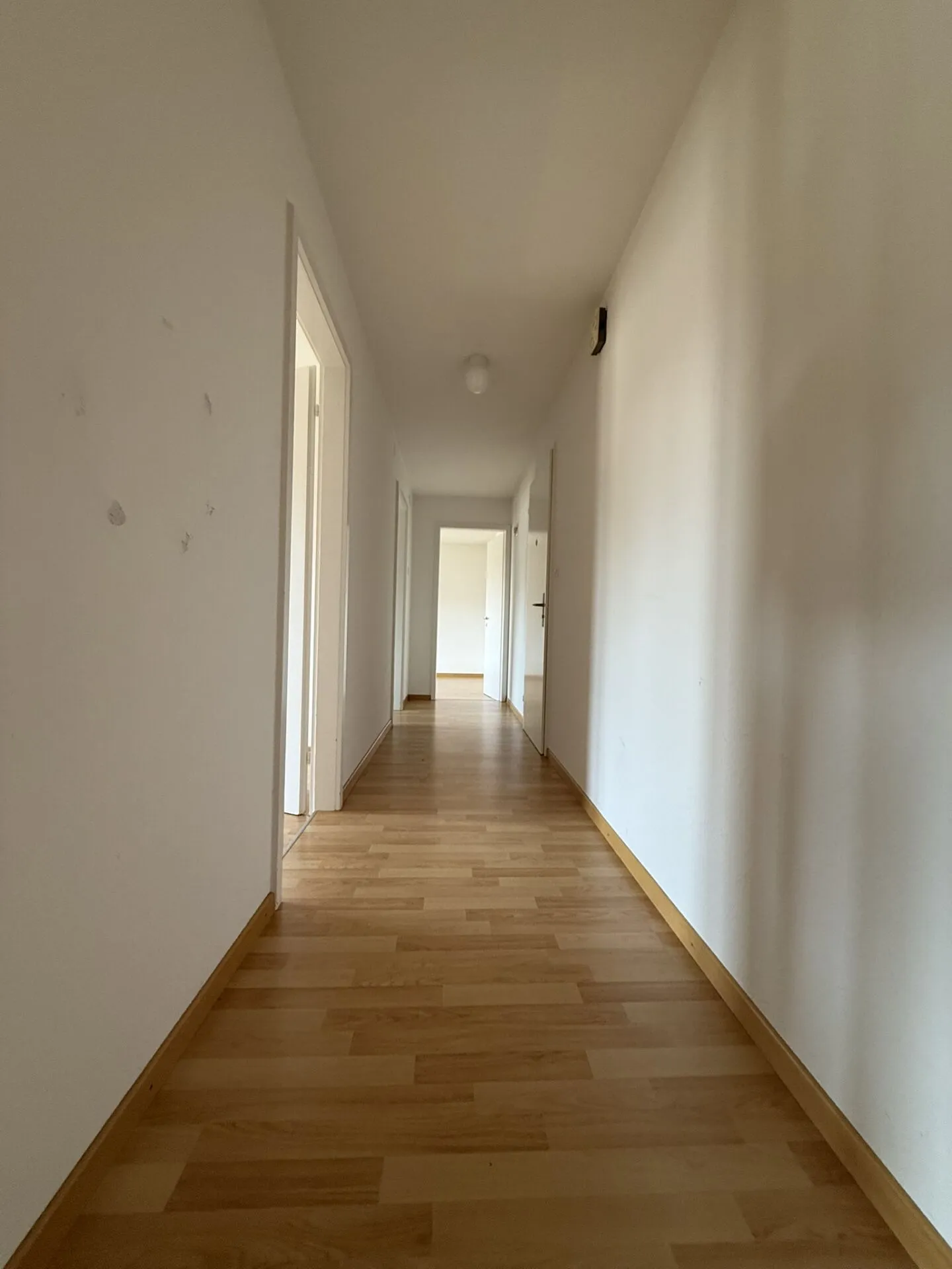 Attractive Move-In Promotion - 1 Net Rent Free - Photo 8 of 8