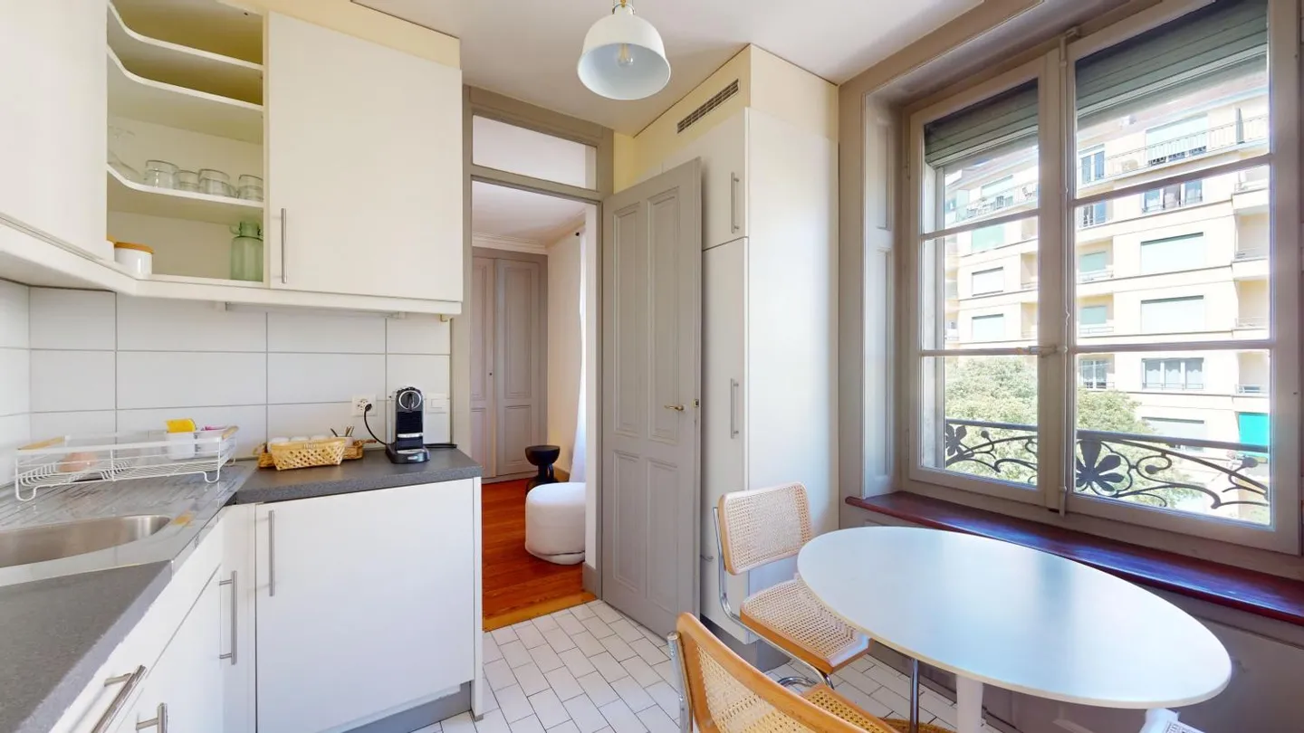 FURNISHED 3-ROOM APARTMENT - opposite the Eaux-Vives train station - Photo 6 of 17