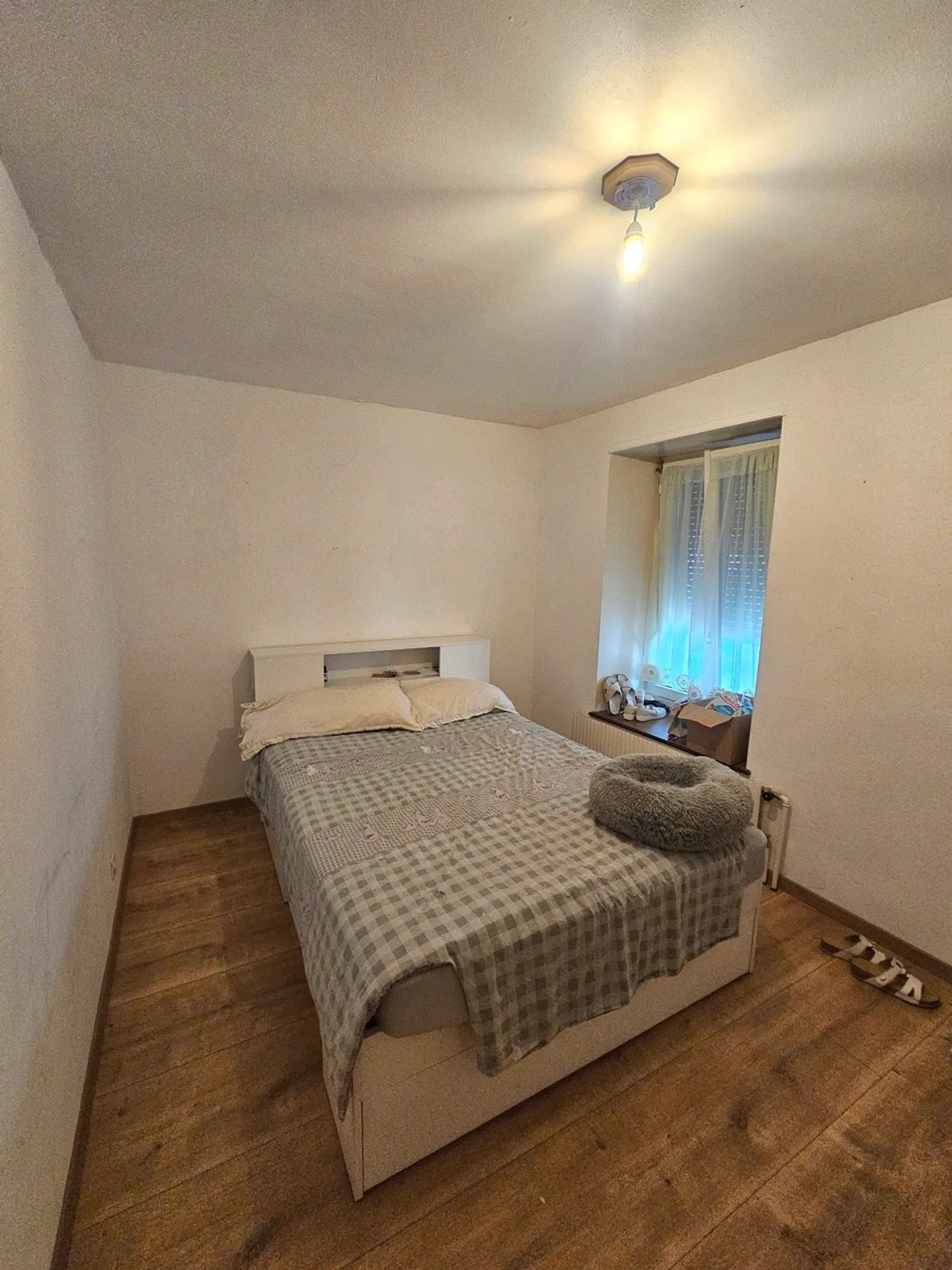 RARE! Appartamento di 7.5 stanze con giardino a Longirod - Foto 7 di 15