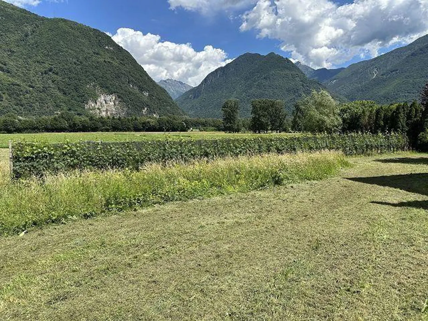 Moderne Villa mit Werkstatt - Foto 15 von 25