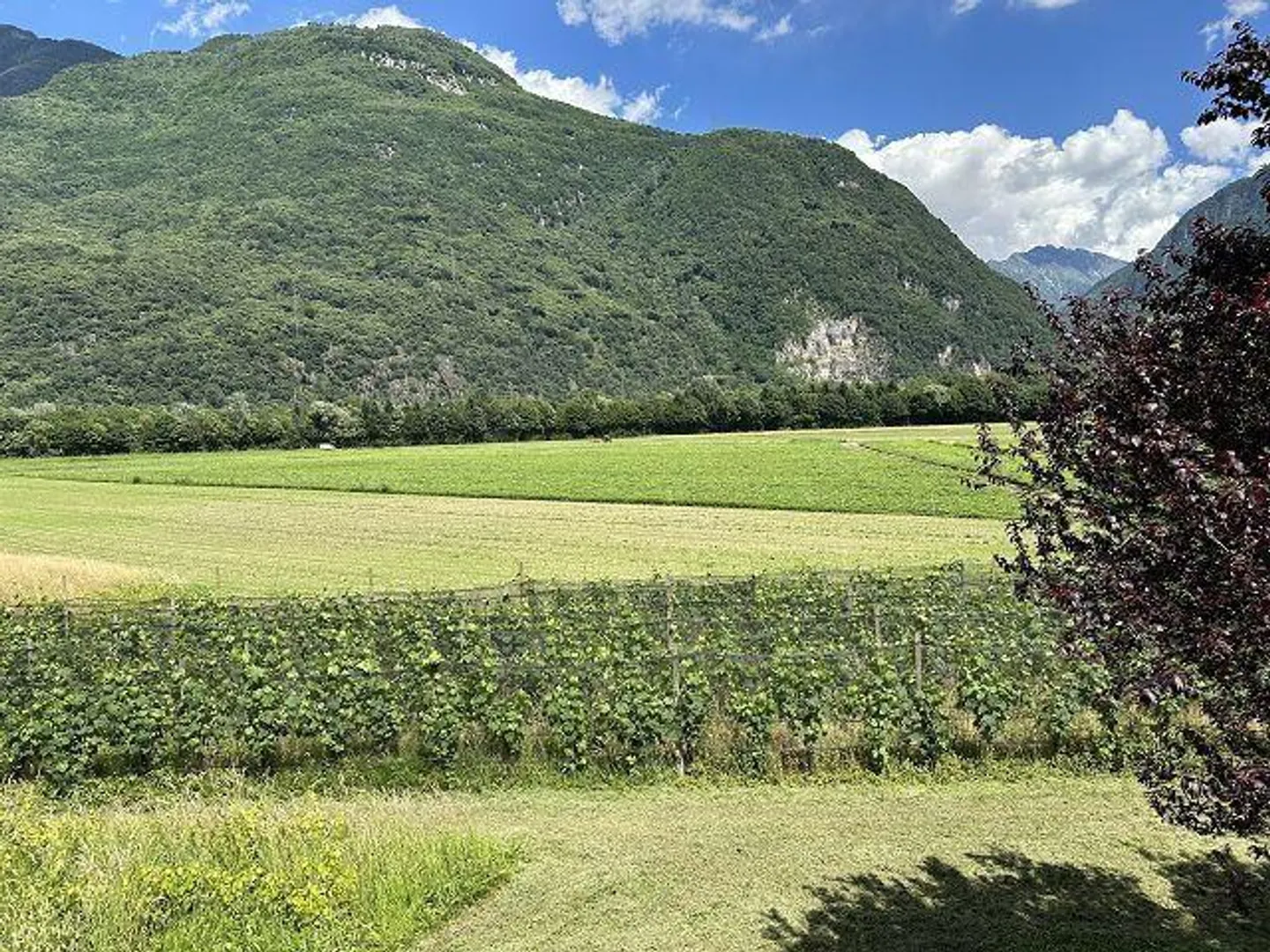 Moderne Villa mit Werkstatt - Foto 16 von 25