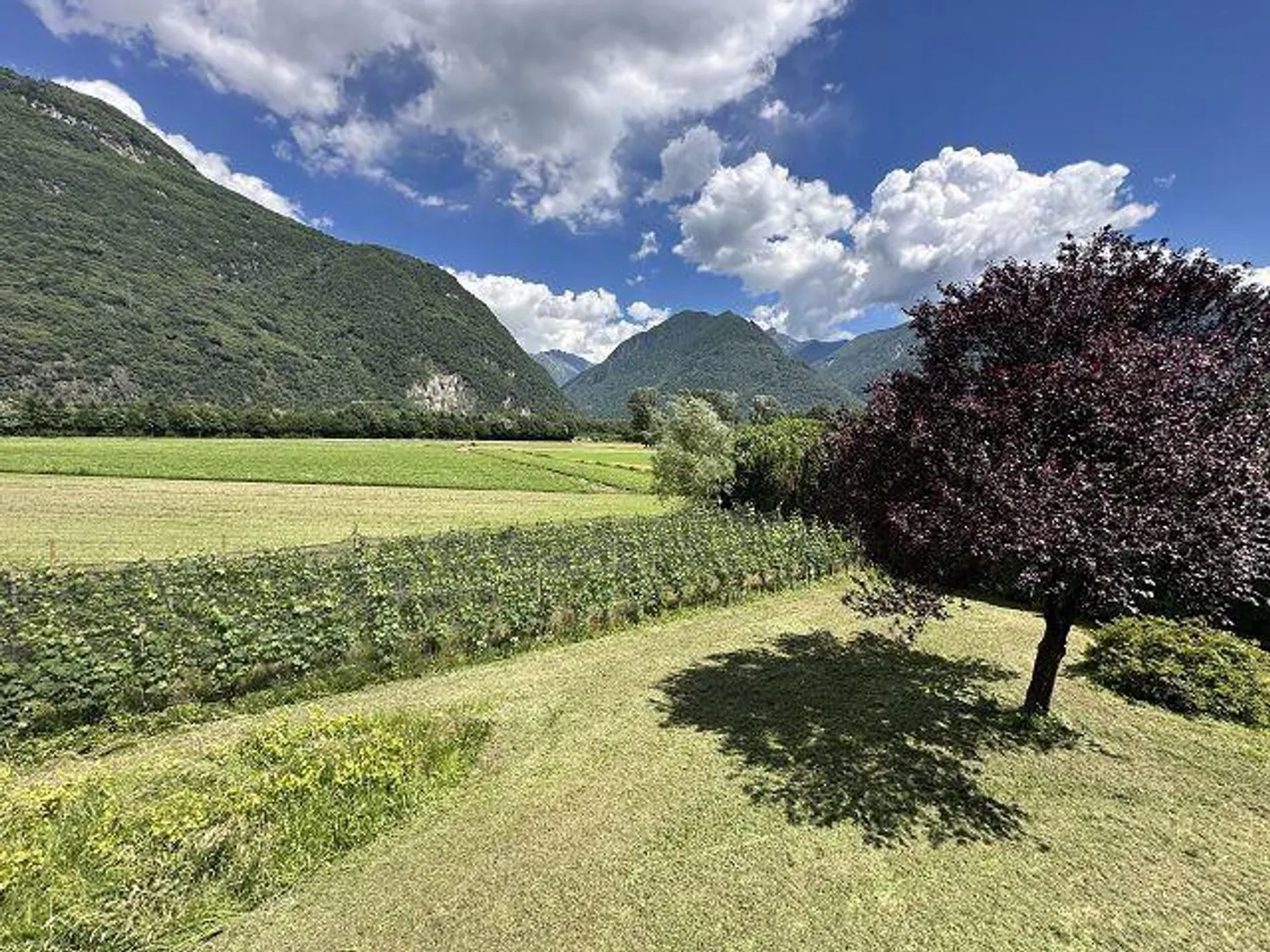 Moderne Villa mit Werkstatt - Foto 17 von 25