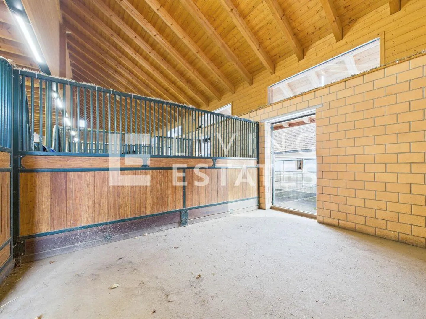 ESPACE POUR L'HOMME ET LE CHEVAL - UNE PROPRIÉTÉ DE VALEUR RARE - Photo 9 sur 19