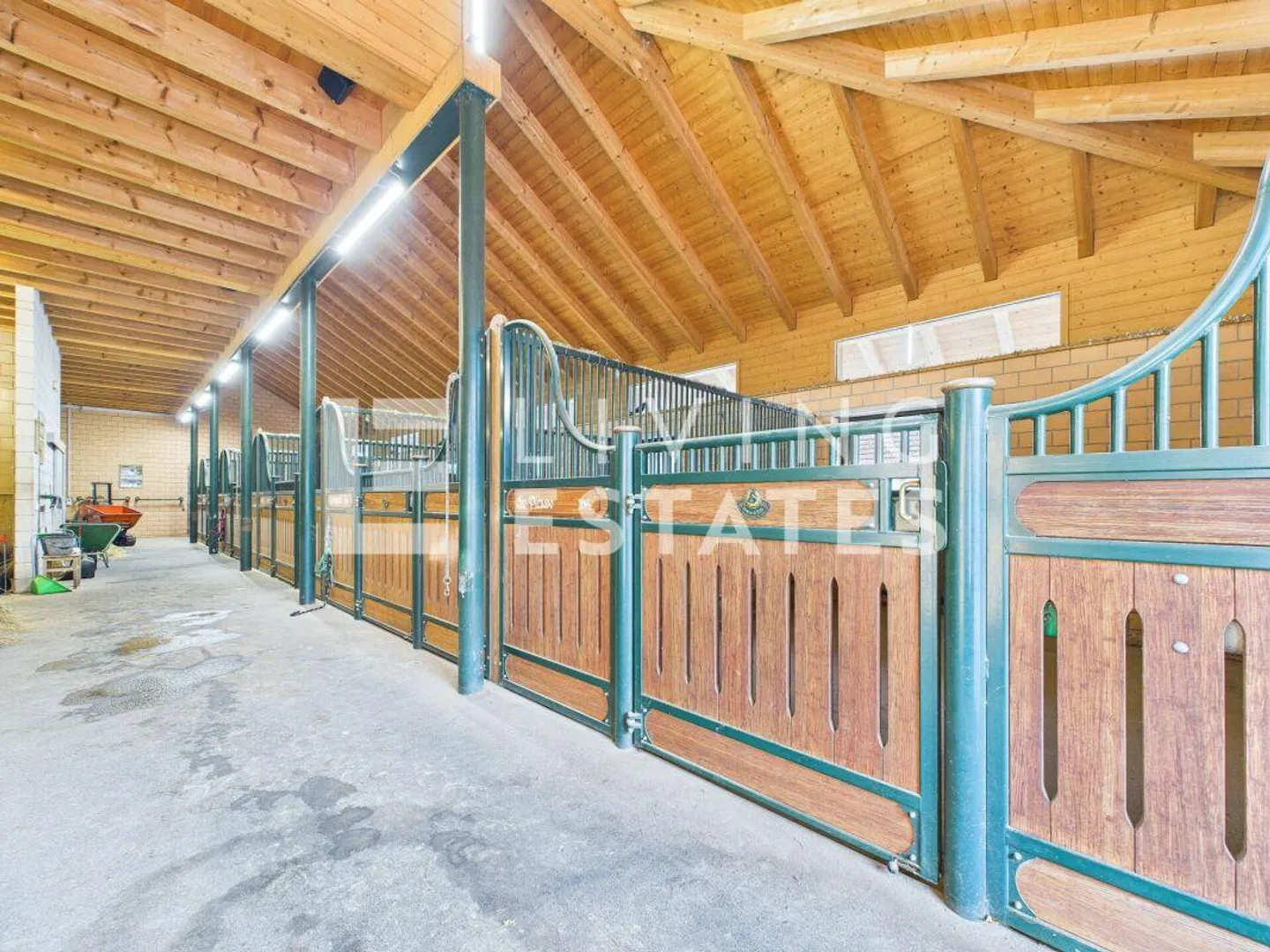 ESPACE POUR L'HOMME ET LE CHEVAL - UNE PROPRIÉTÉ DE VALEUR RARE - Photo 10 sur 19