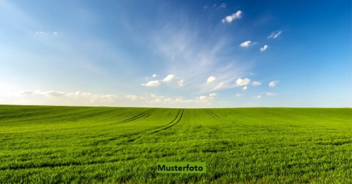 *Humus, Wald* - Foto 1 von 1