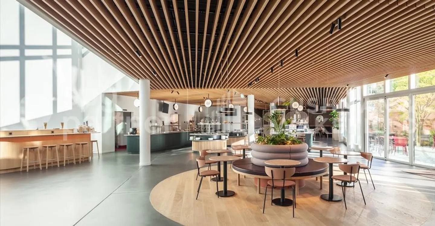 BIRD - Photo 3 sur 12