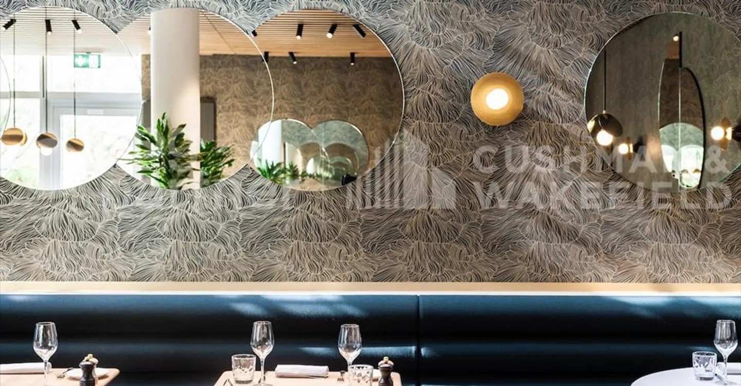 BIRD - Photo 4 sur 12