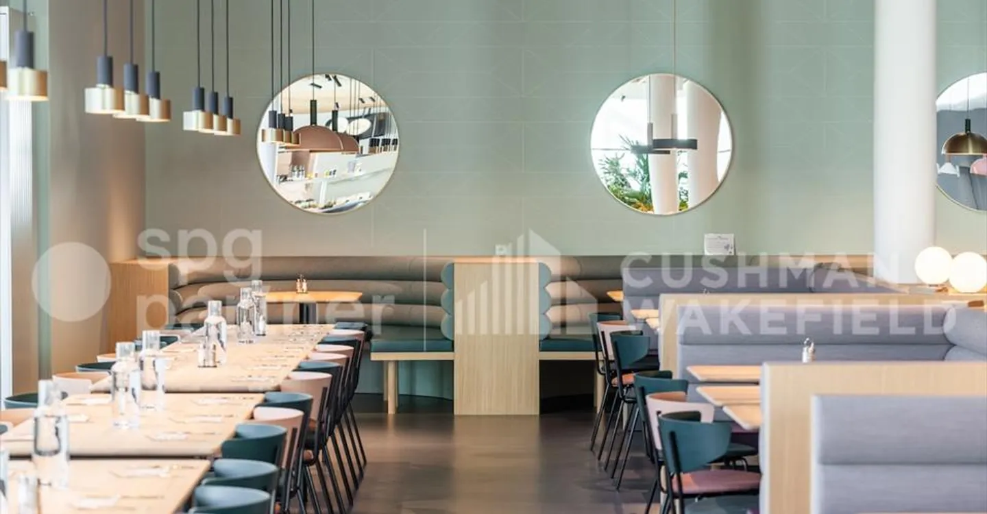 BIRD - Photo 5 sur 12