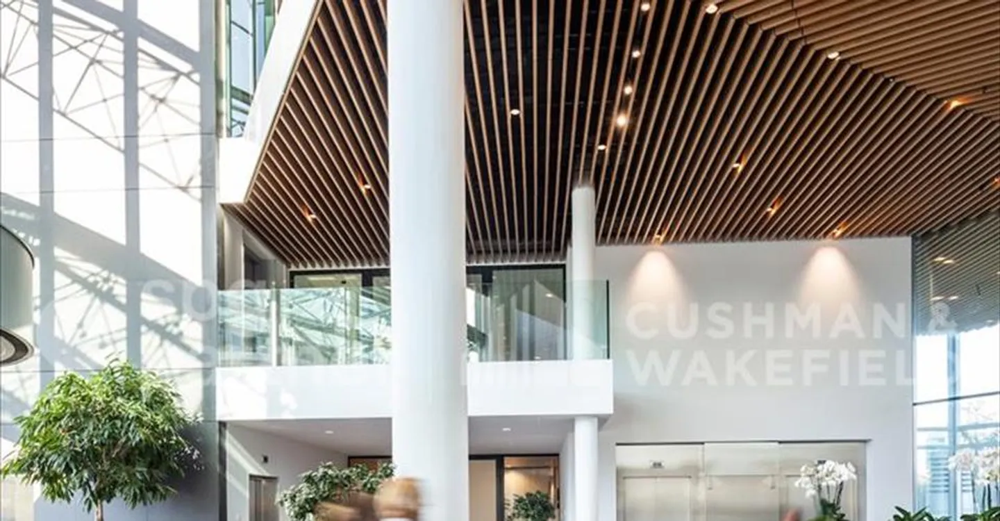 BIRD - Photo 7 sur 12