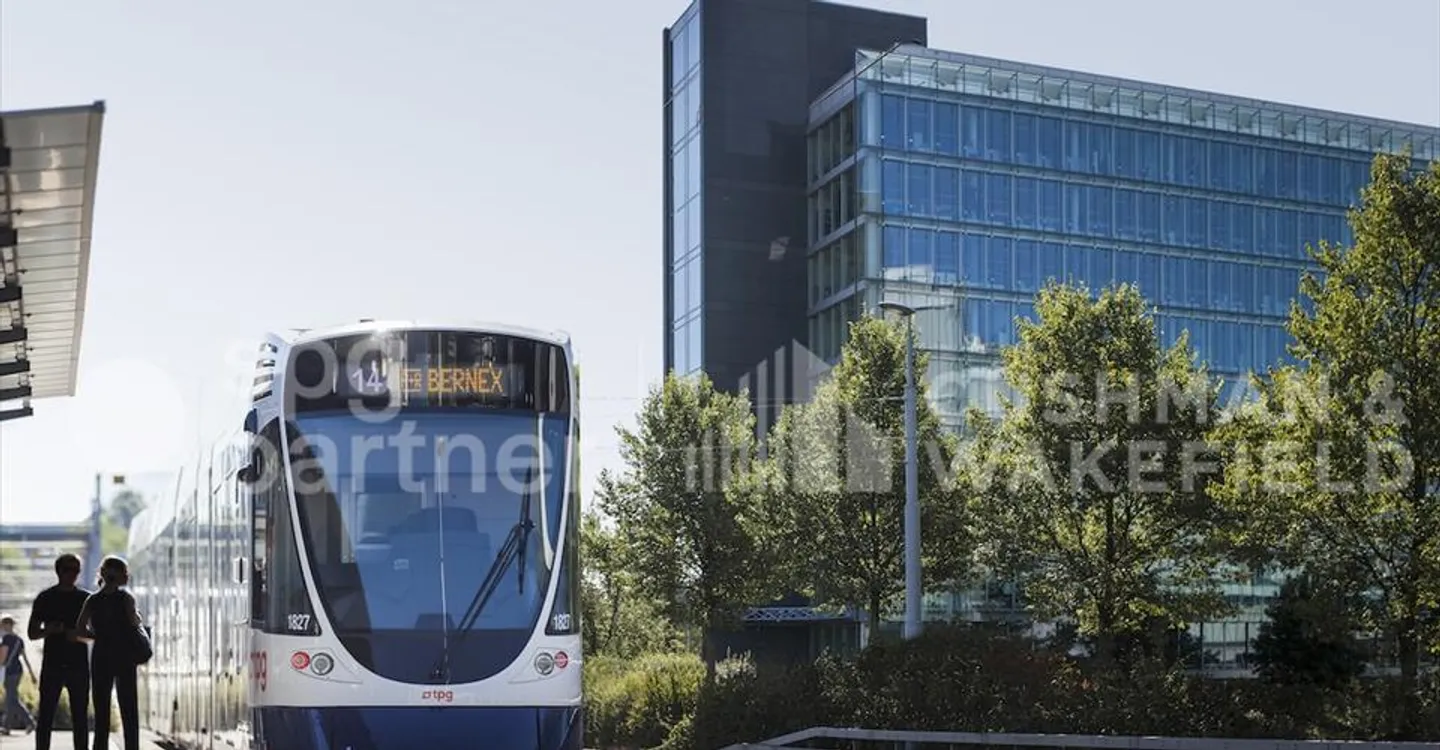 BIRD - Photo 8 sur 12