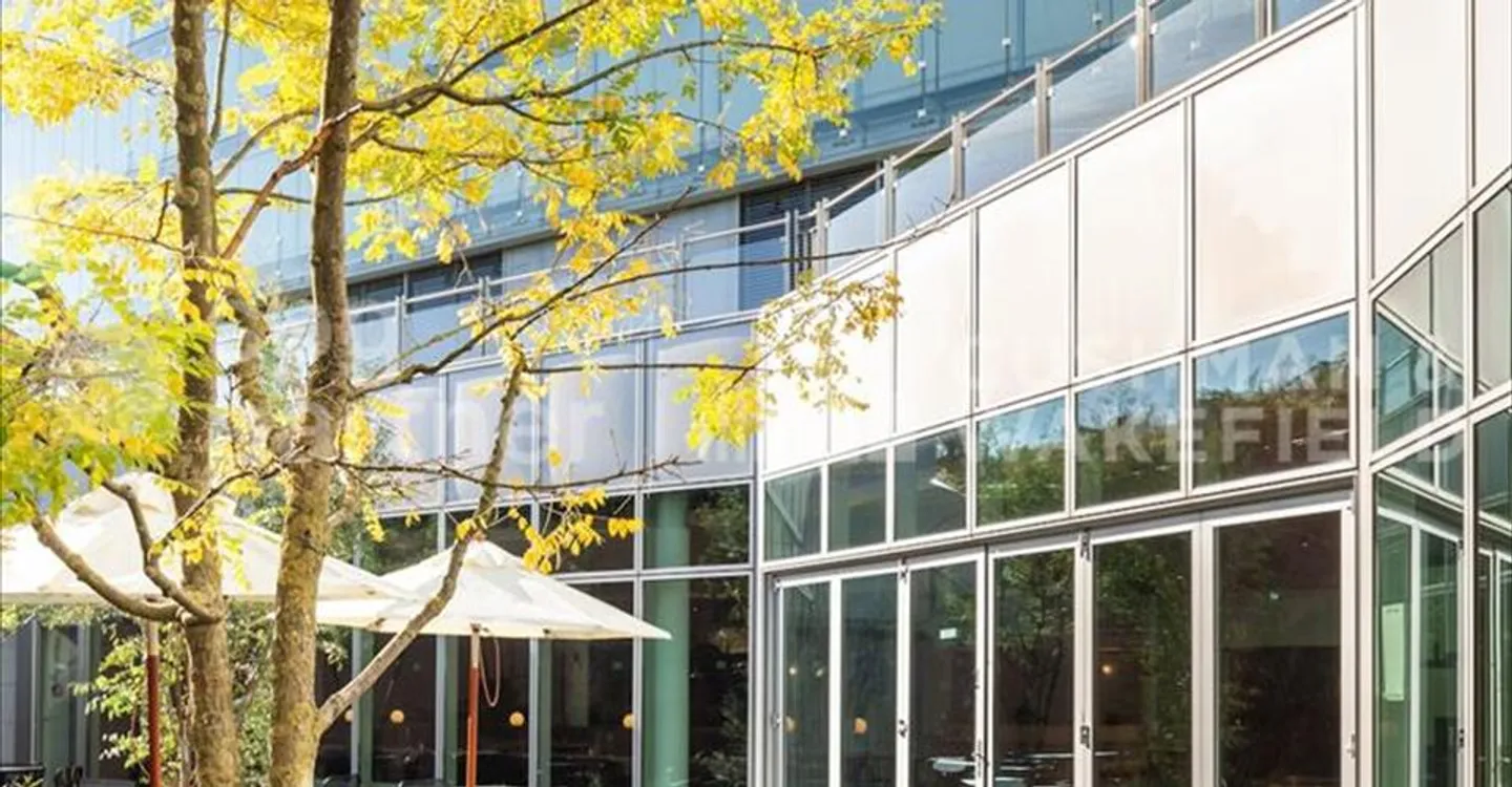 BIRD - Photo 9 sur 12