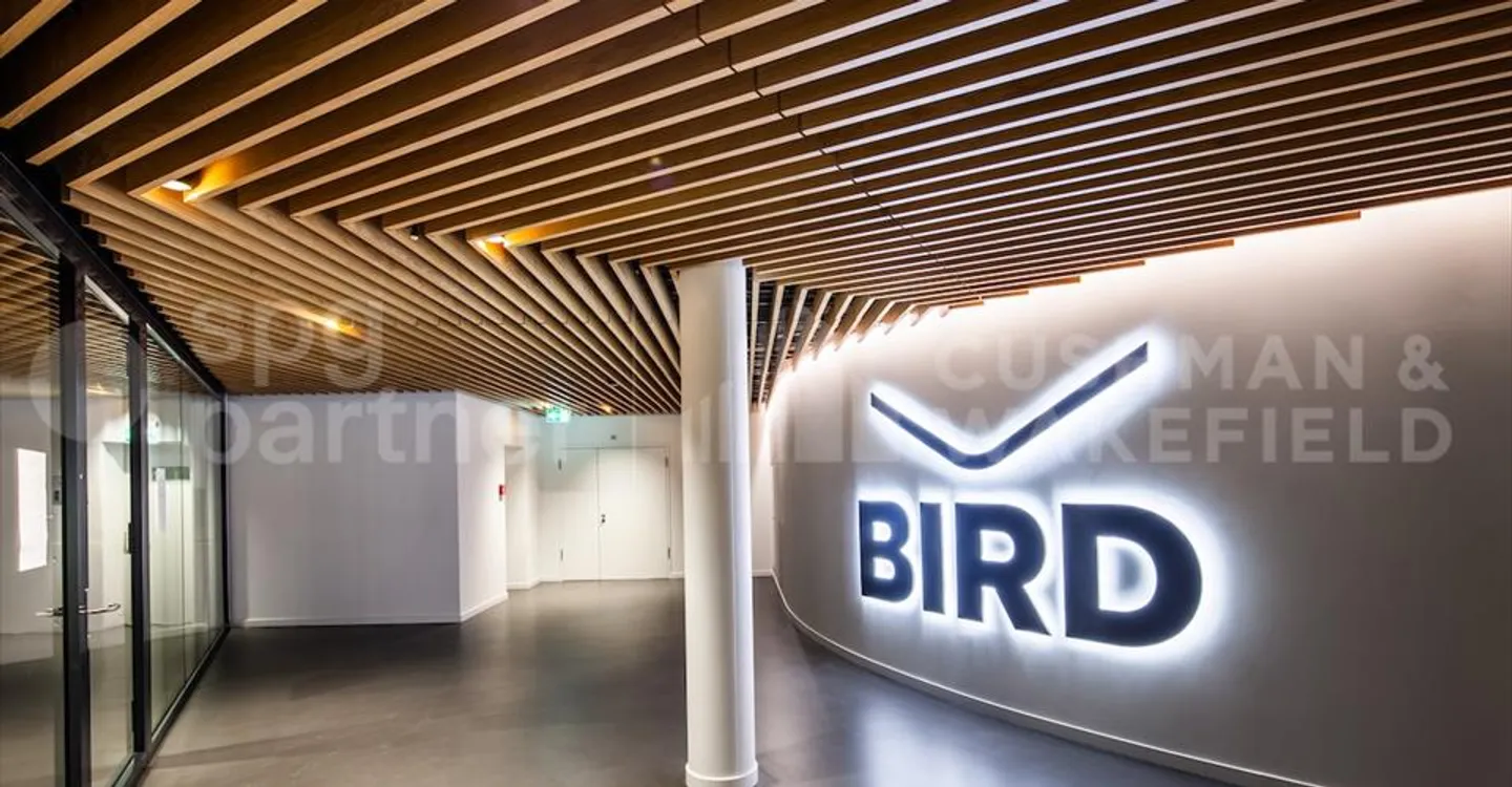 BIRD - Photo 10 sur 12