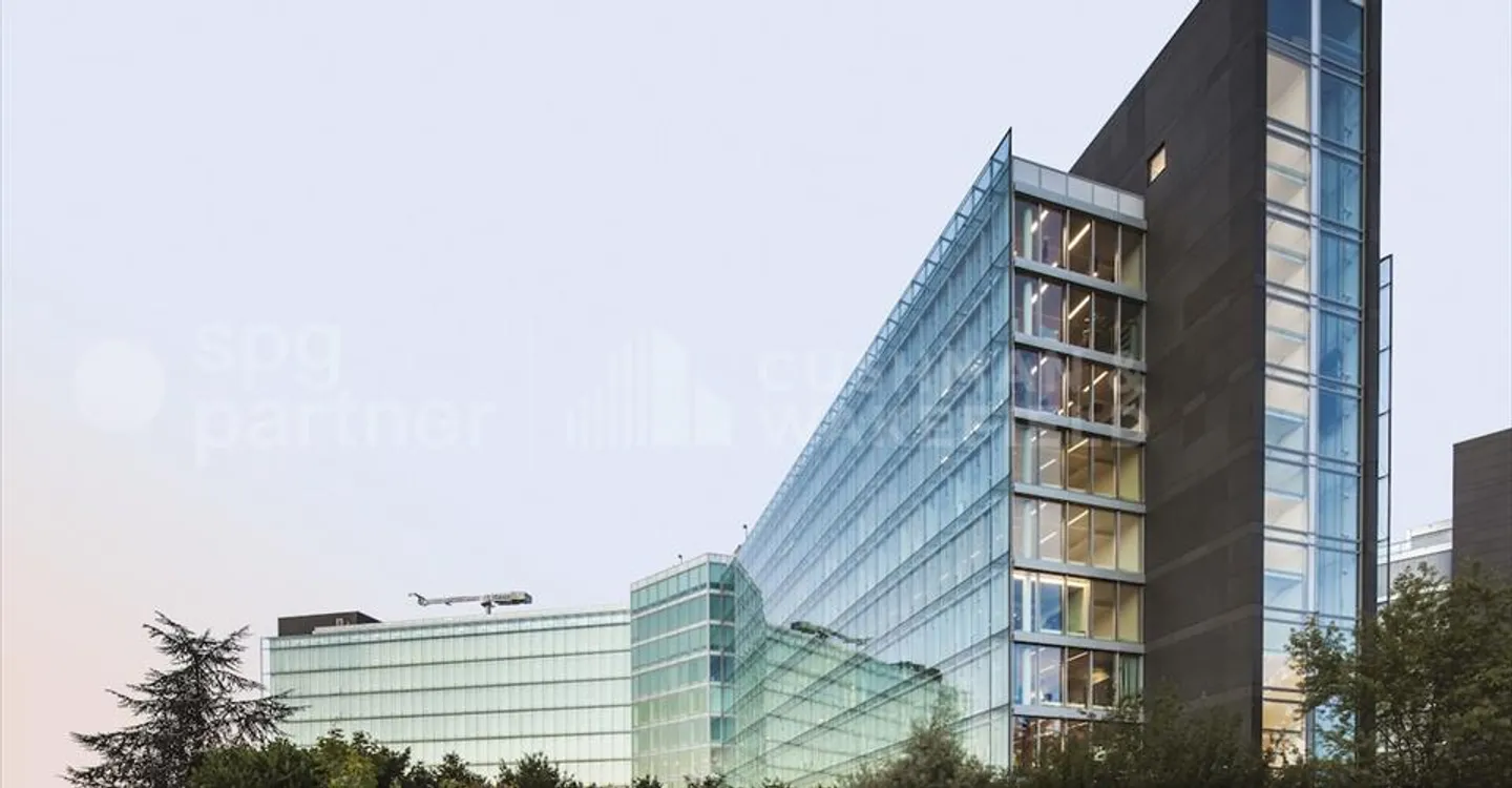 BIRD - Photo 12 sur 12