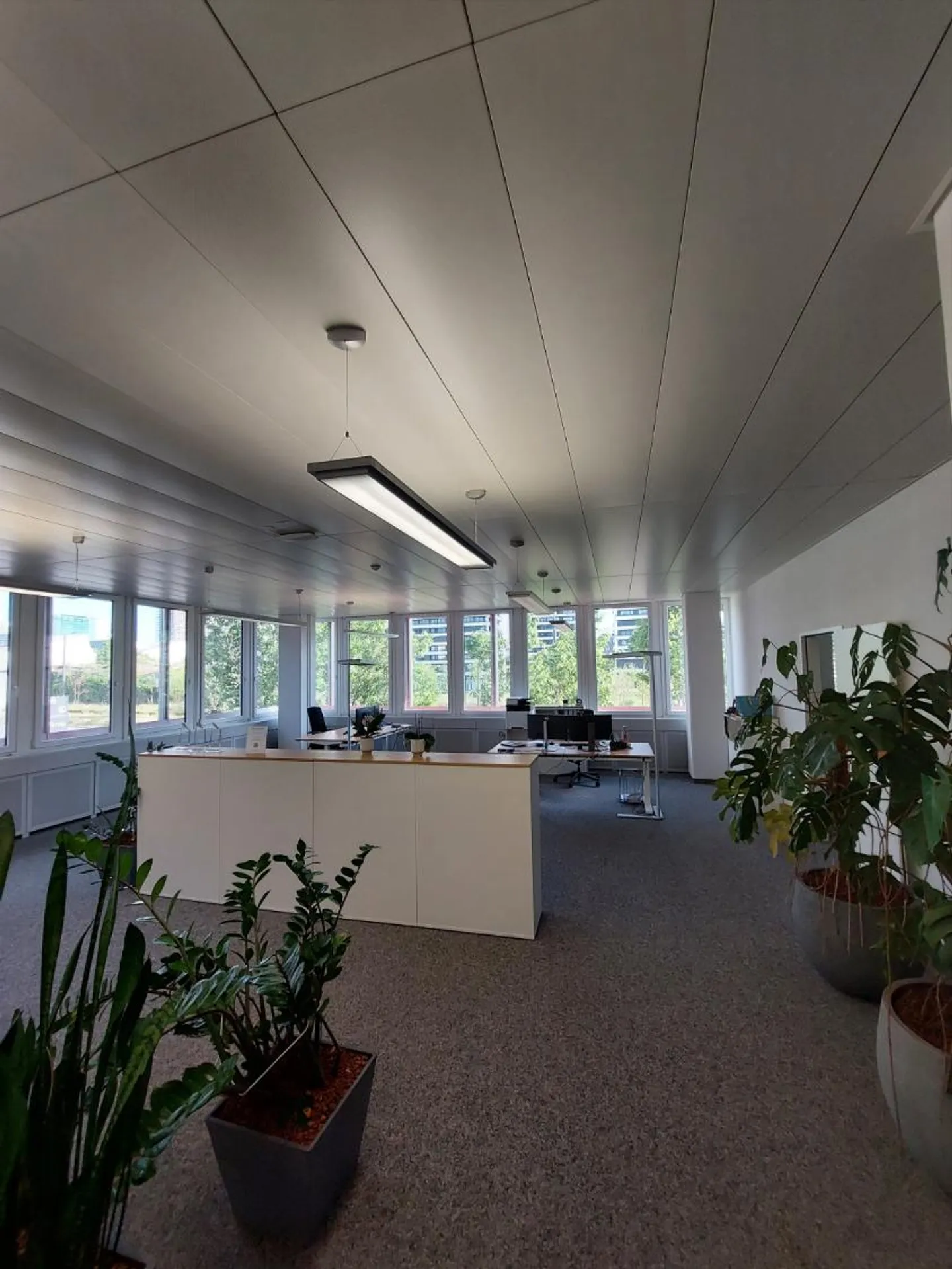 Vielseitige Bürofläche in Dübendorf - Foto 3 von 5