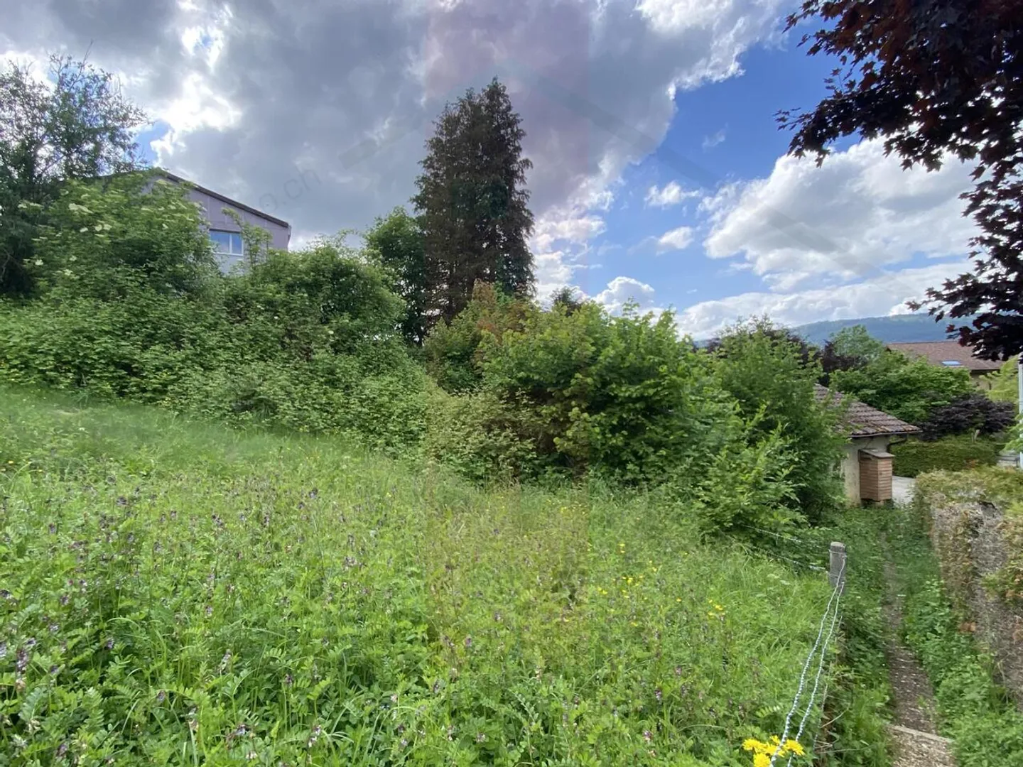 Building/Warehouse for sale in the center of Bassecourt - Photo 4 of 4