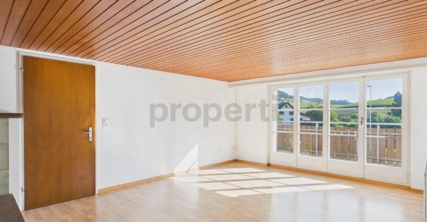 Charming and bright apartment with a beautiful balcony, including a parking space - Photo 4 of 12