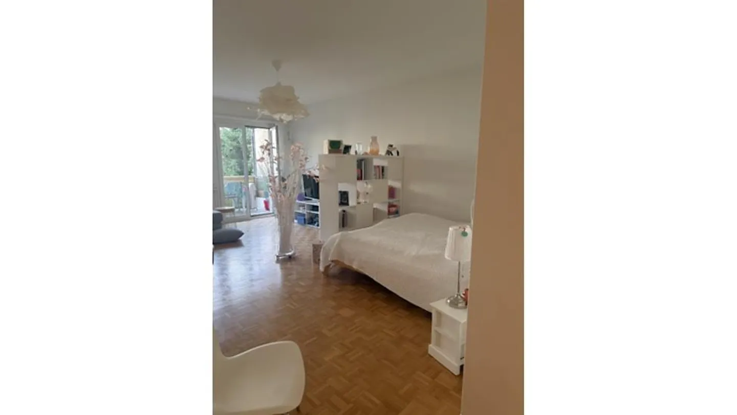 Möblierte Wohnung in Bern - Foto 3 von 7