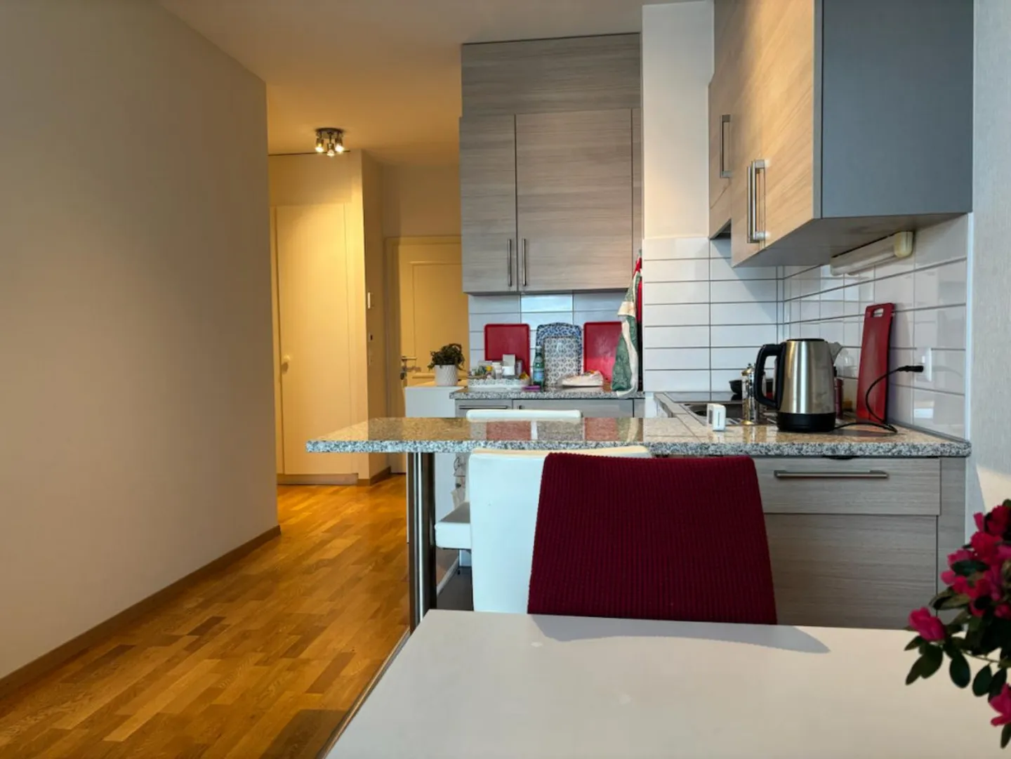 Charmante Wohnung Nähe UN - Foto 1 von 7