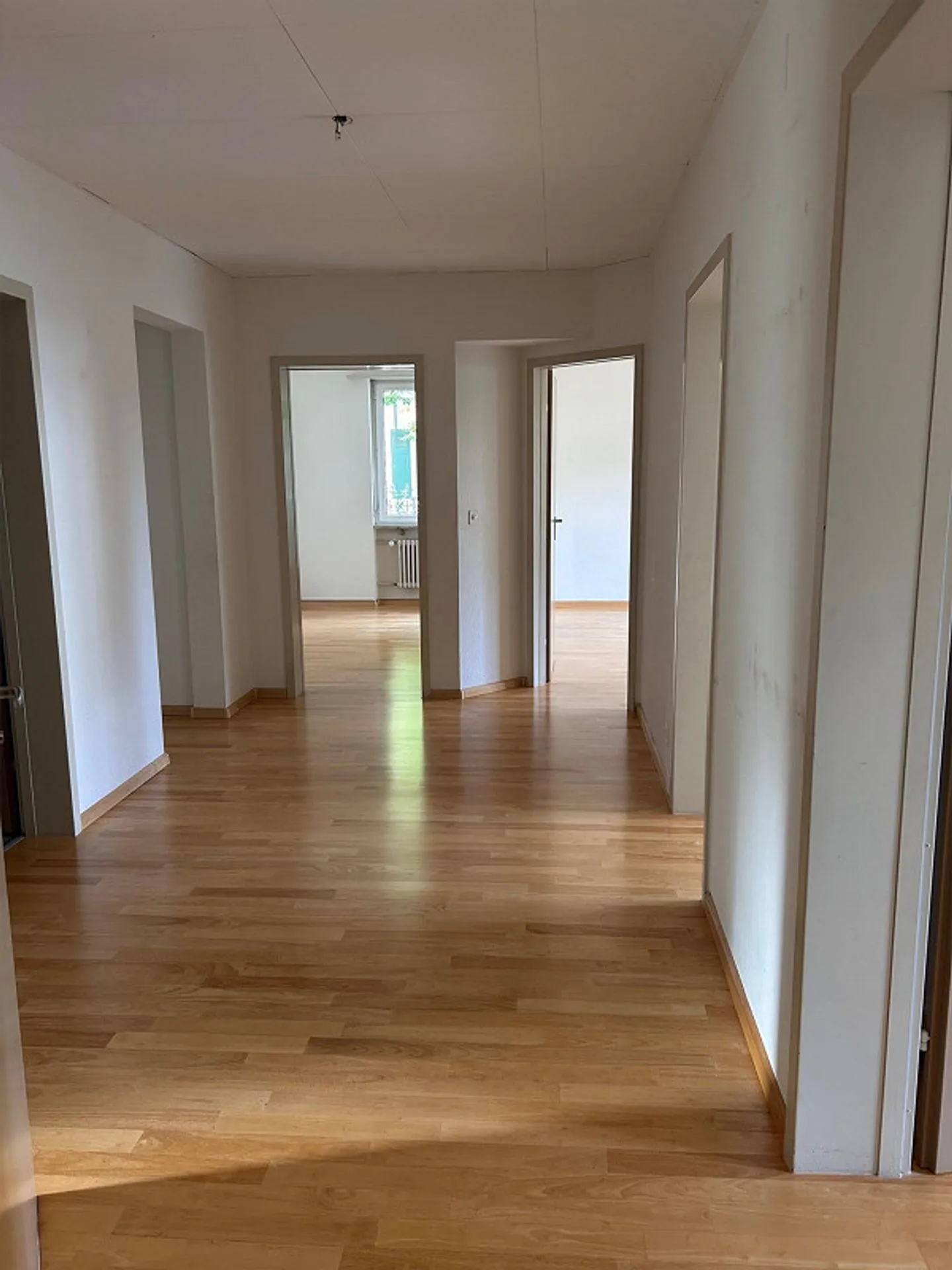 Ampio appartamento di 5 stanze con terrazza e giardino - Foto 1 di 15