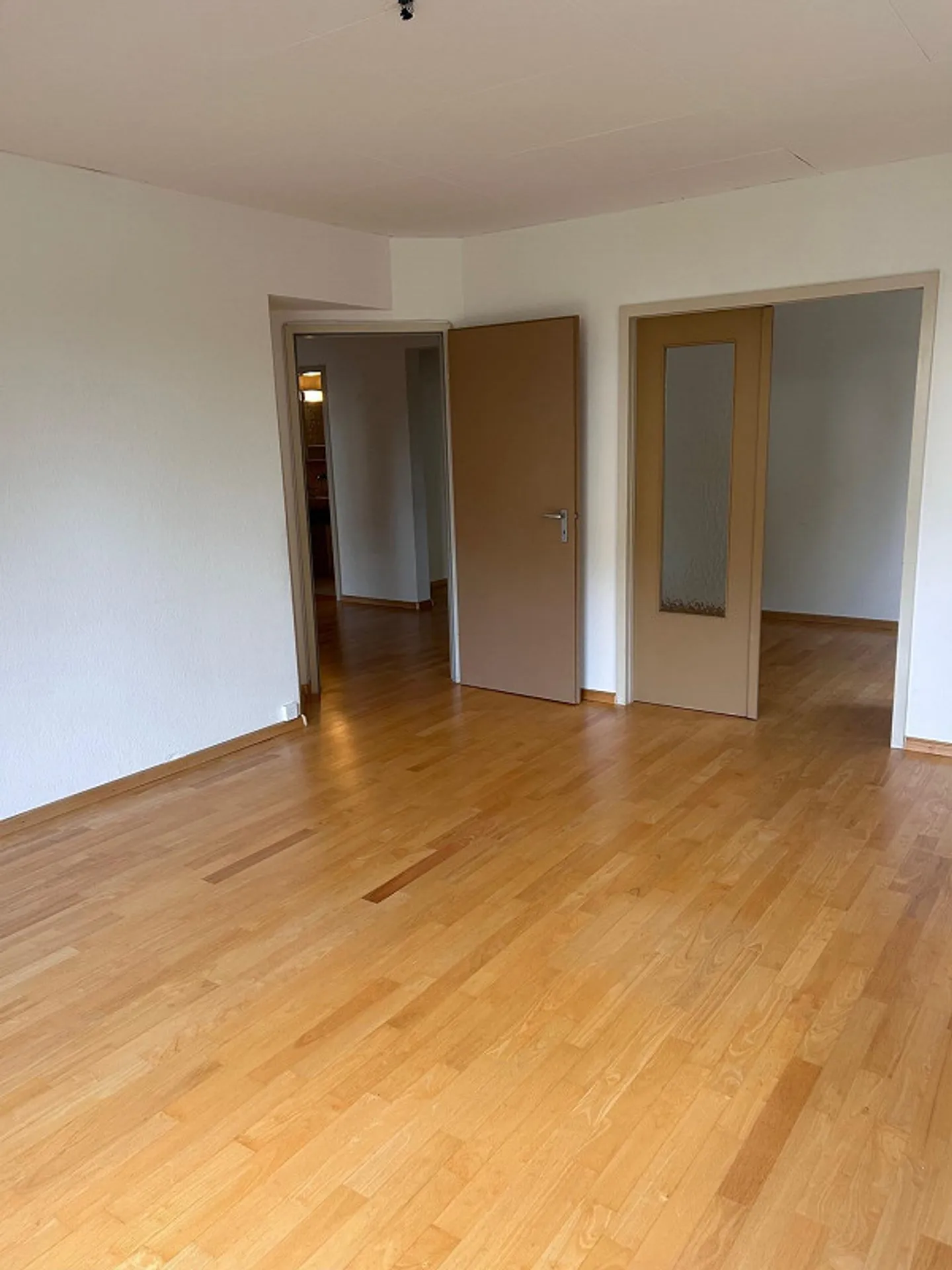 Ampio appartamento di 5 stanze con terrazza e giardino - Foto 6 di 15
