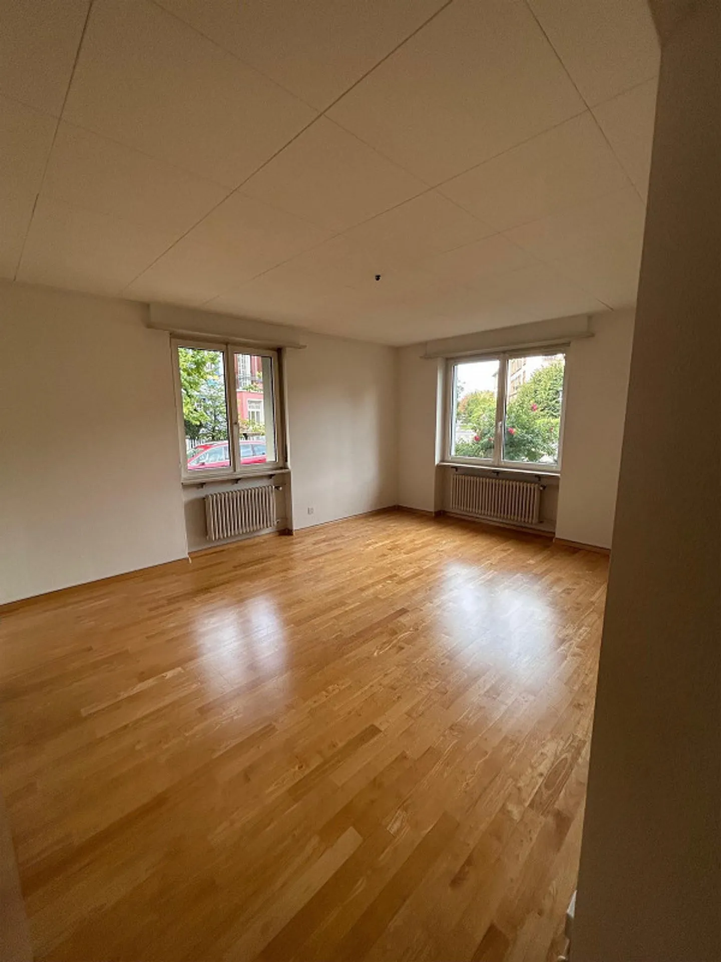 Ampio appartamento di 5 stanze con terrazza e giardino - Foto 7 di 15