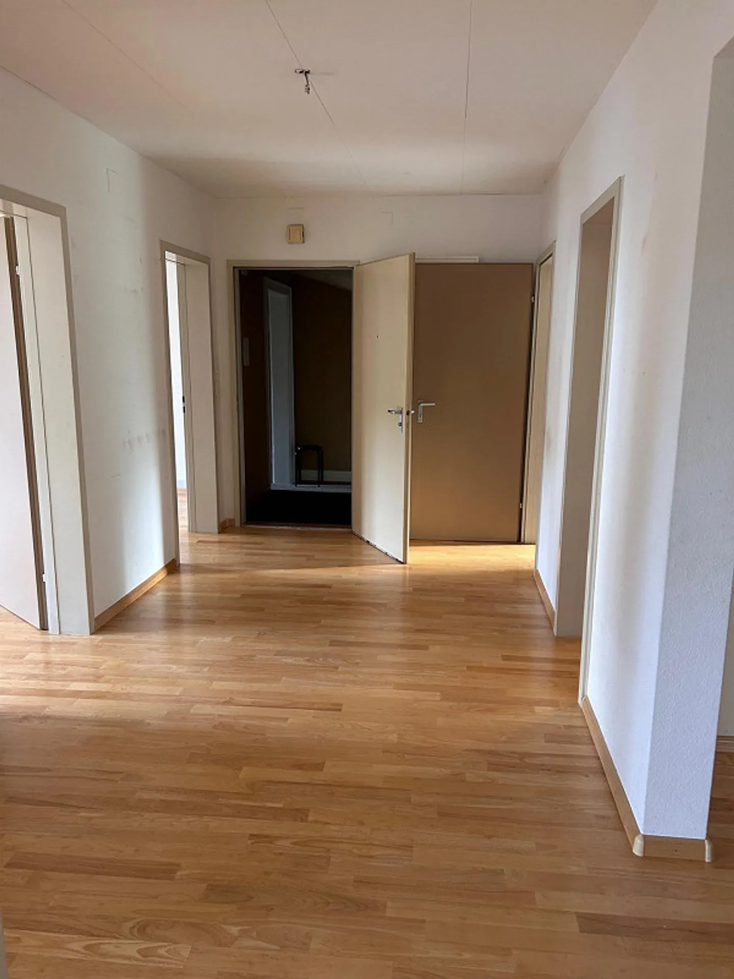 Ampio appartamento di 5 stanze con terrazza e giardino - Foto 13 di 15