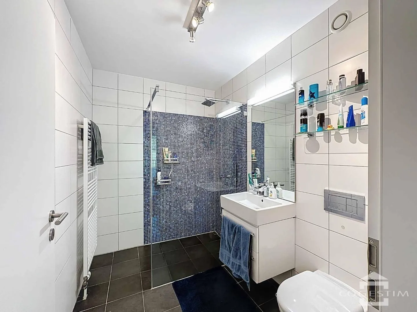 3.5 Room Apartment - Photo 12 of 13