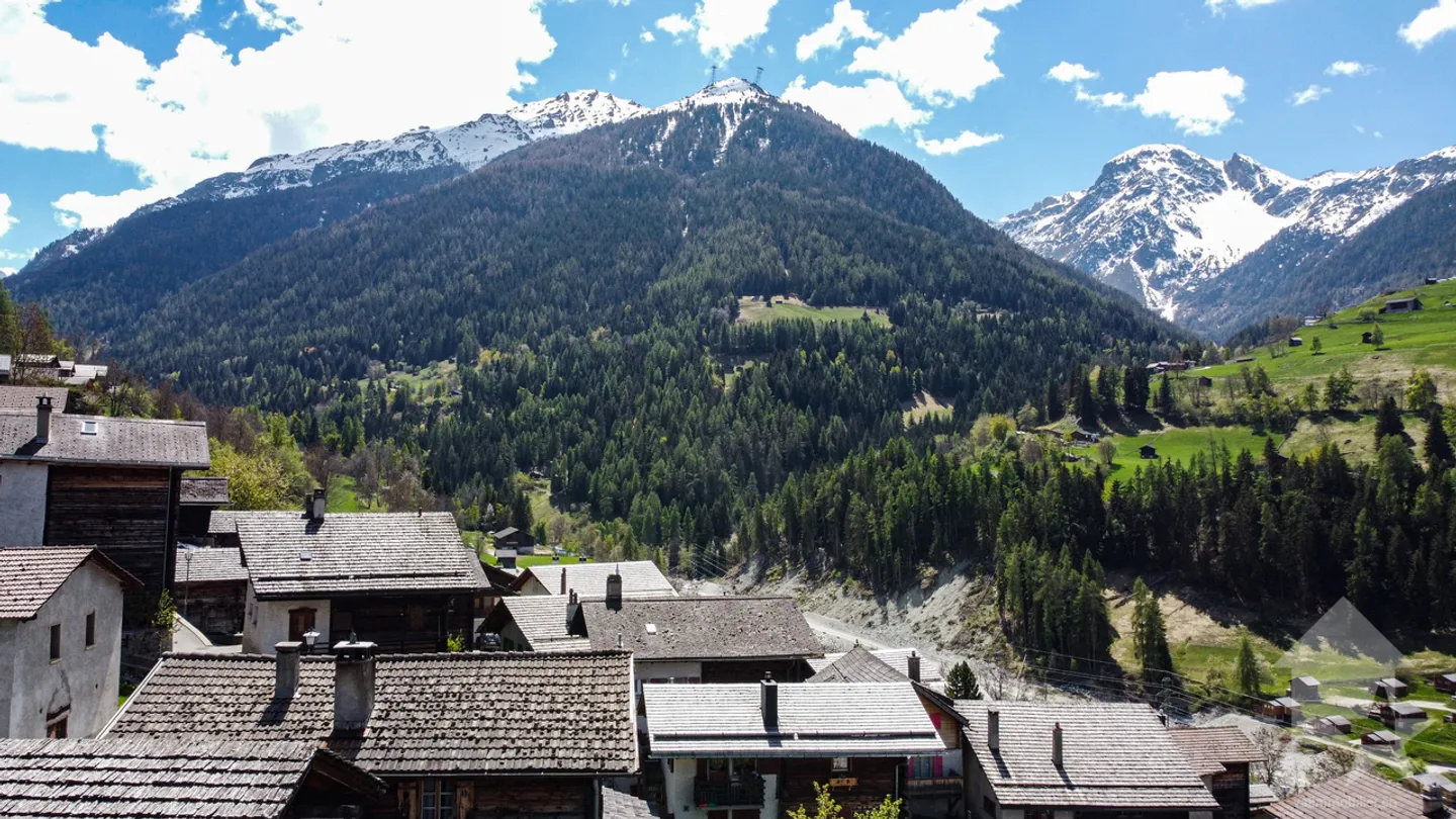 Chalet Charmant avec Appartements Duplex - Photo 33 sur 33