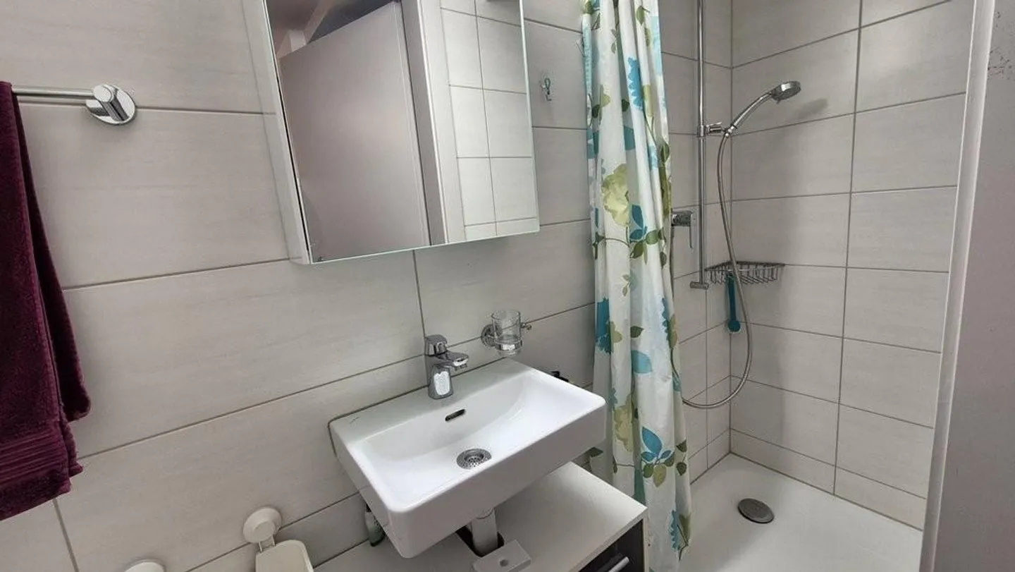 Renovated, bright apartment in a top location! - Photo 6 of 10