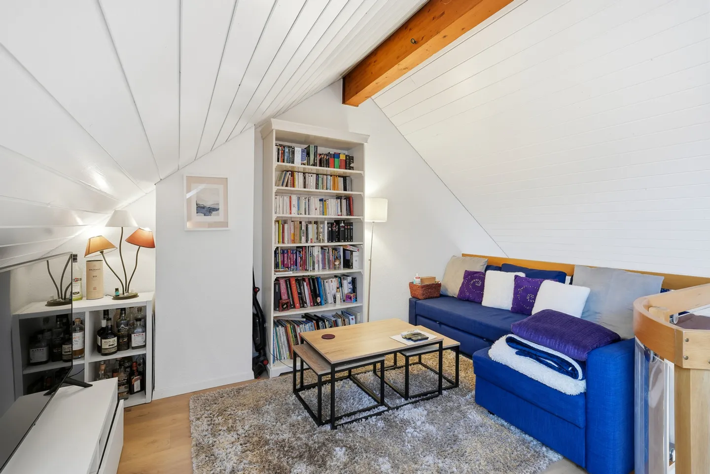 Stunning 3.5-Room Apartment + Gallery with Lake and Mountain View - Photo 23 of 23