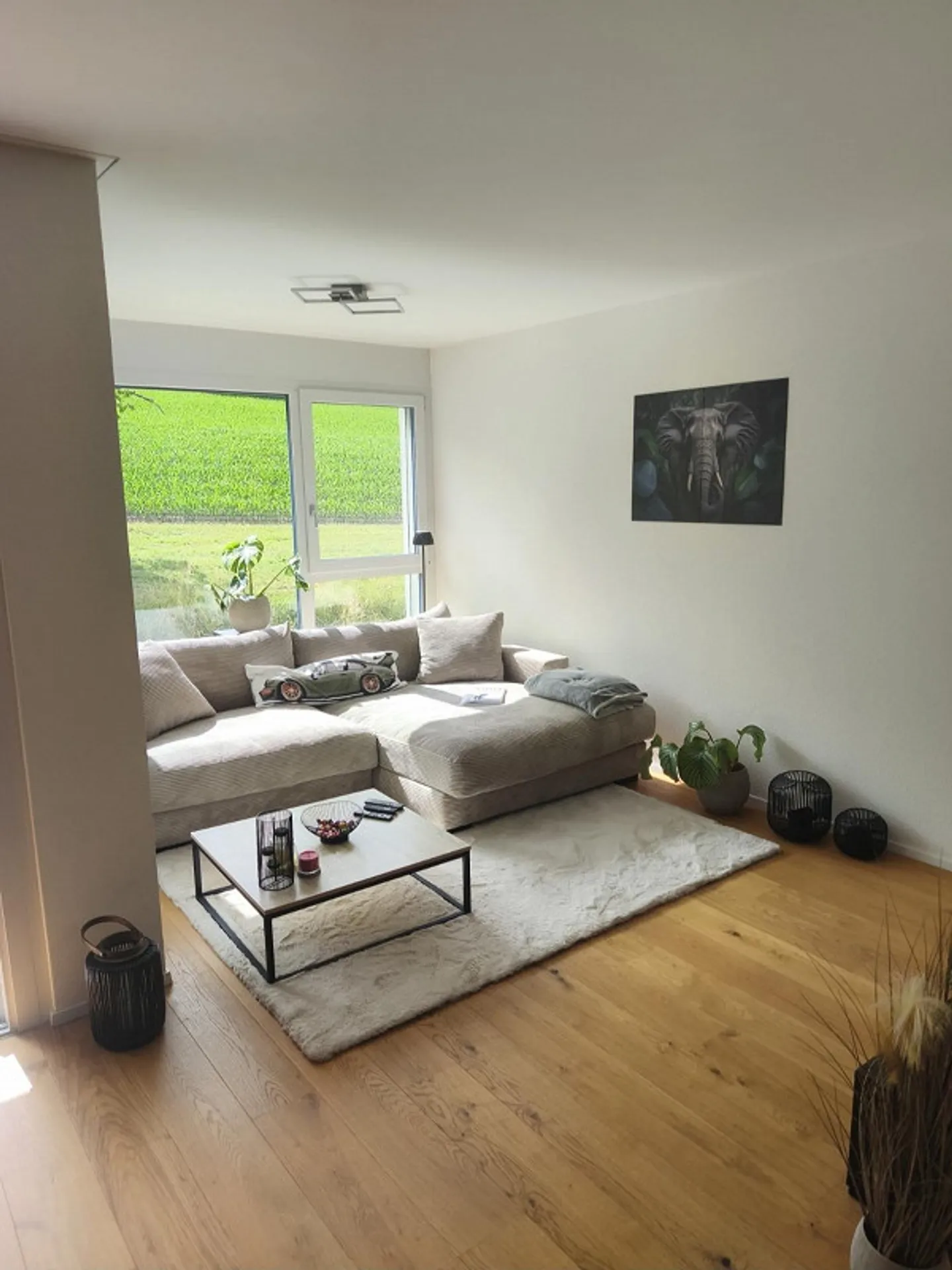 Looking for a new tenant for a modern apartment in 5708 Birrwil - Photo 2 of 10
