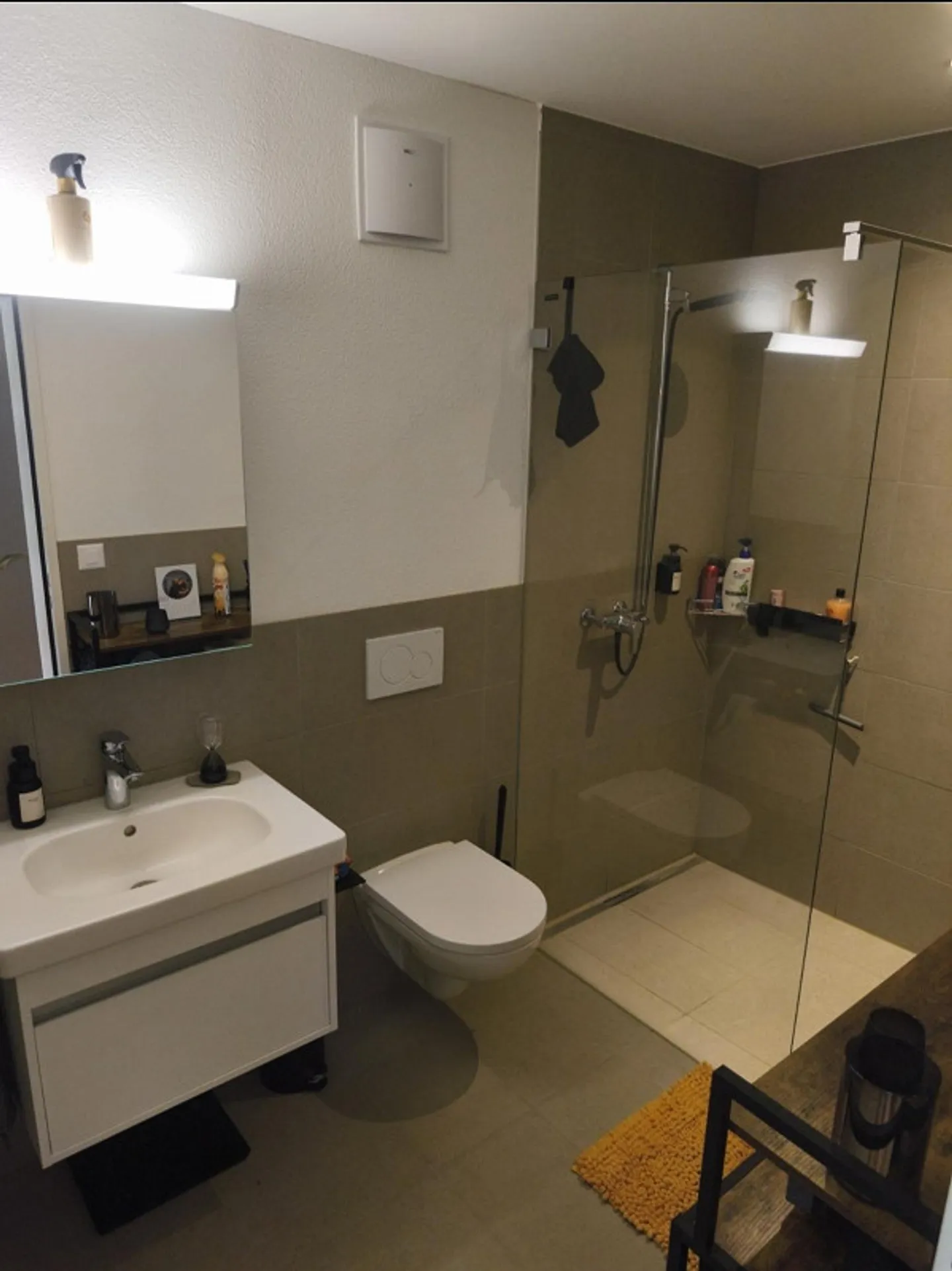 Looking for a new tenant for a modern apartment in 5708 Birrwil - Photo 8 of 10