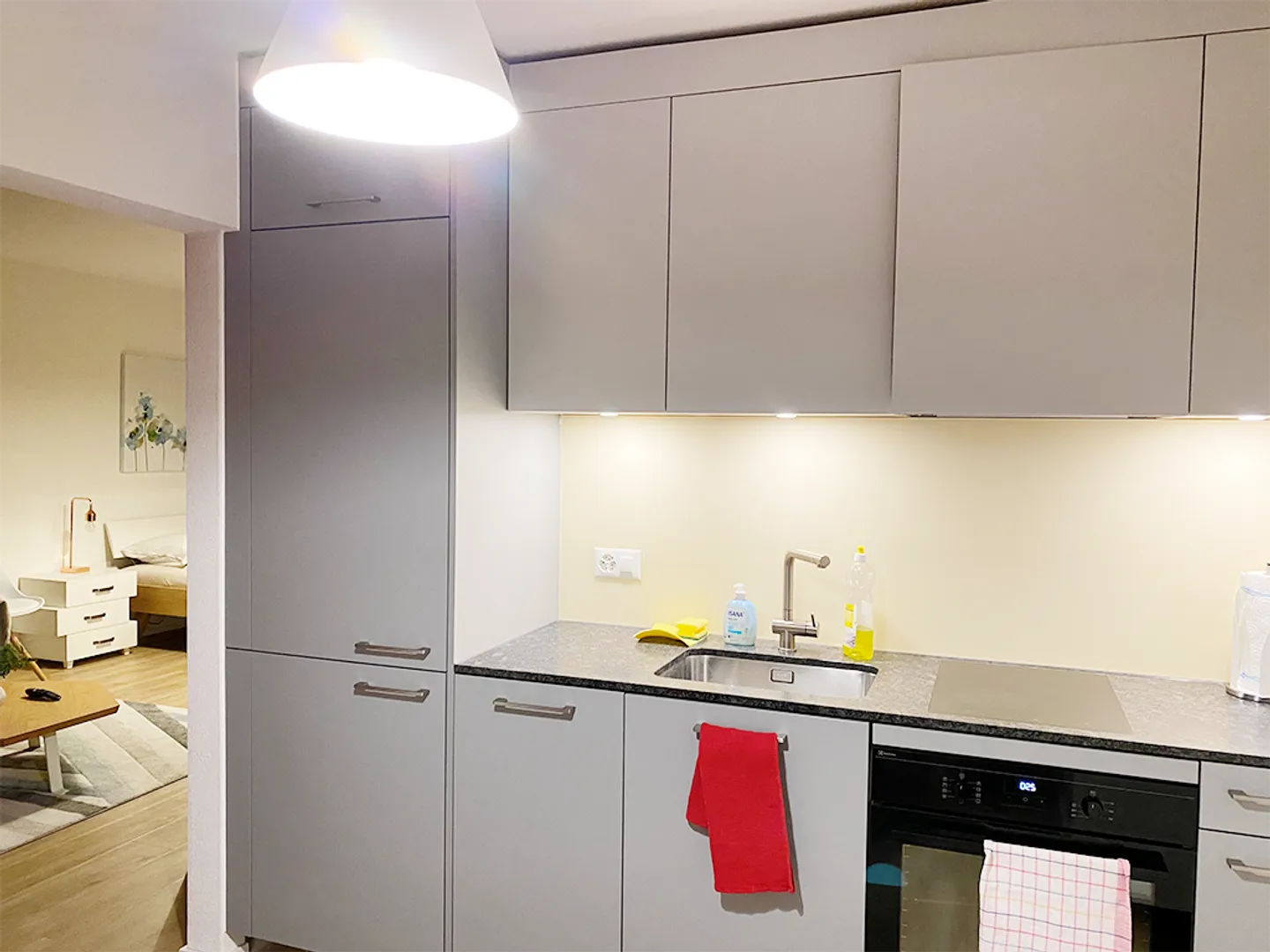 Appartamento di due e mezzo locali a Zurigo Schwamendingen - Foto 5 di 6