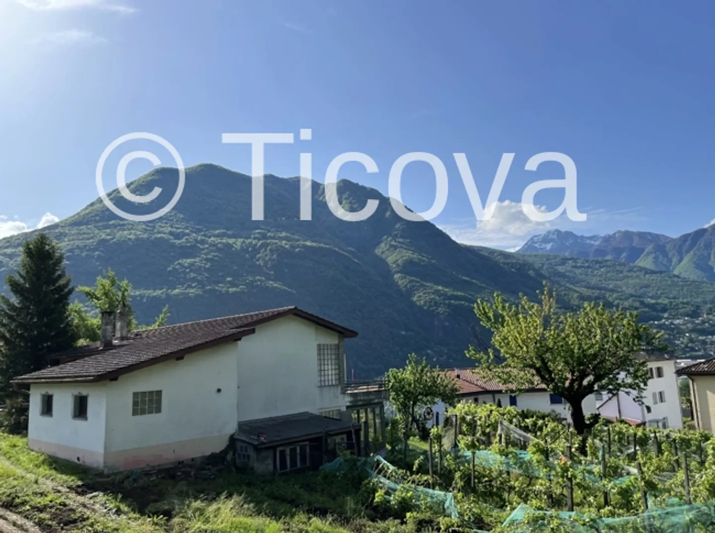 Villa in affitto - Foto 4 di 8