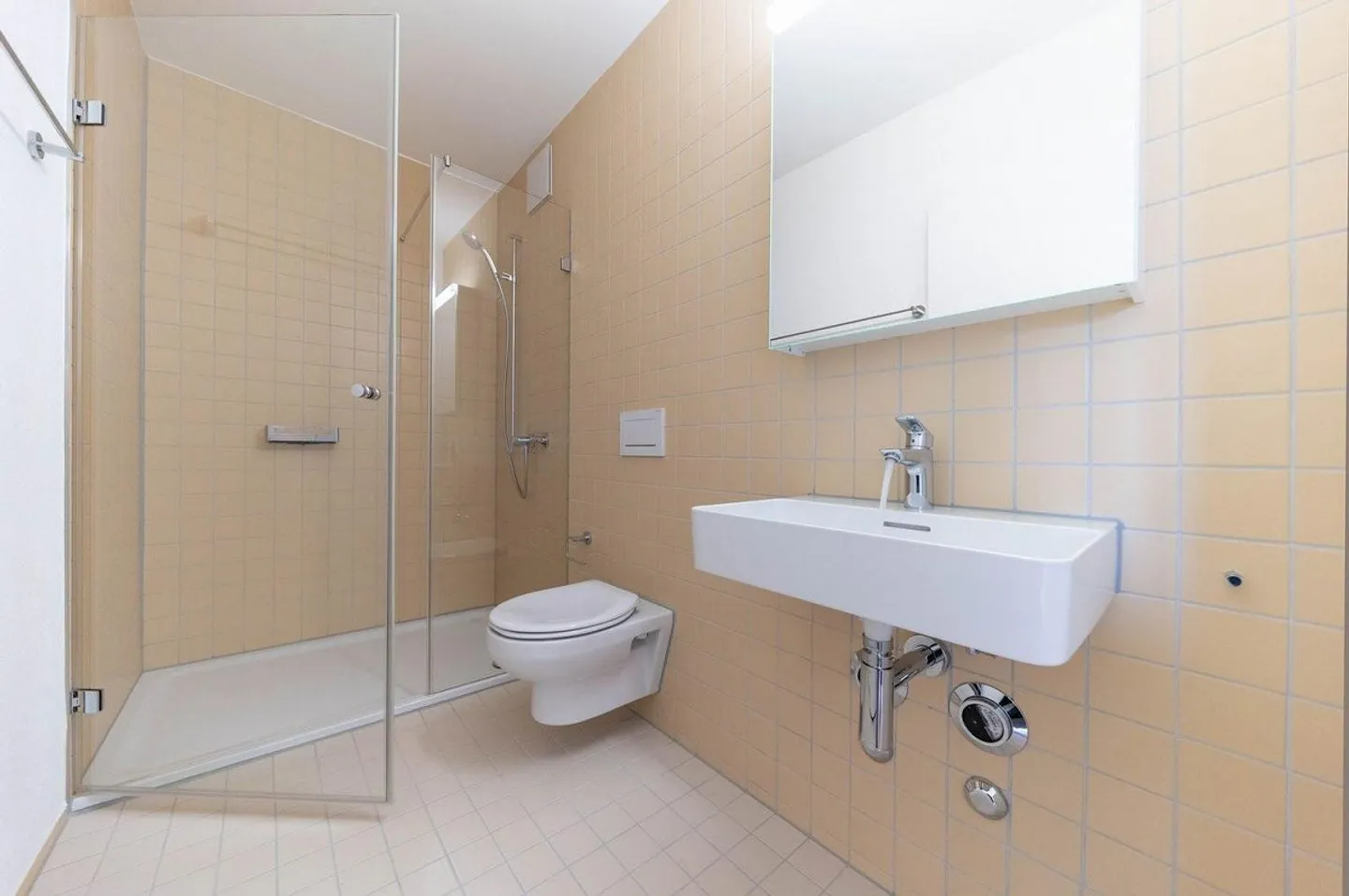 Appartement 4.5 pièces dans la résidence Bassbelt - Photo 8 sur 10